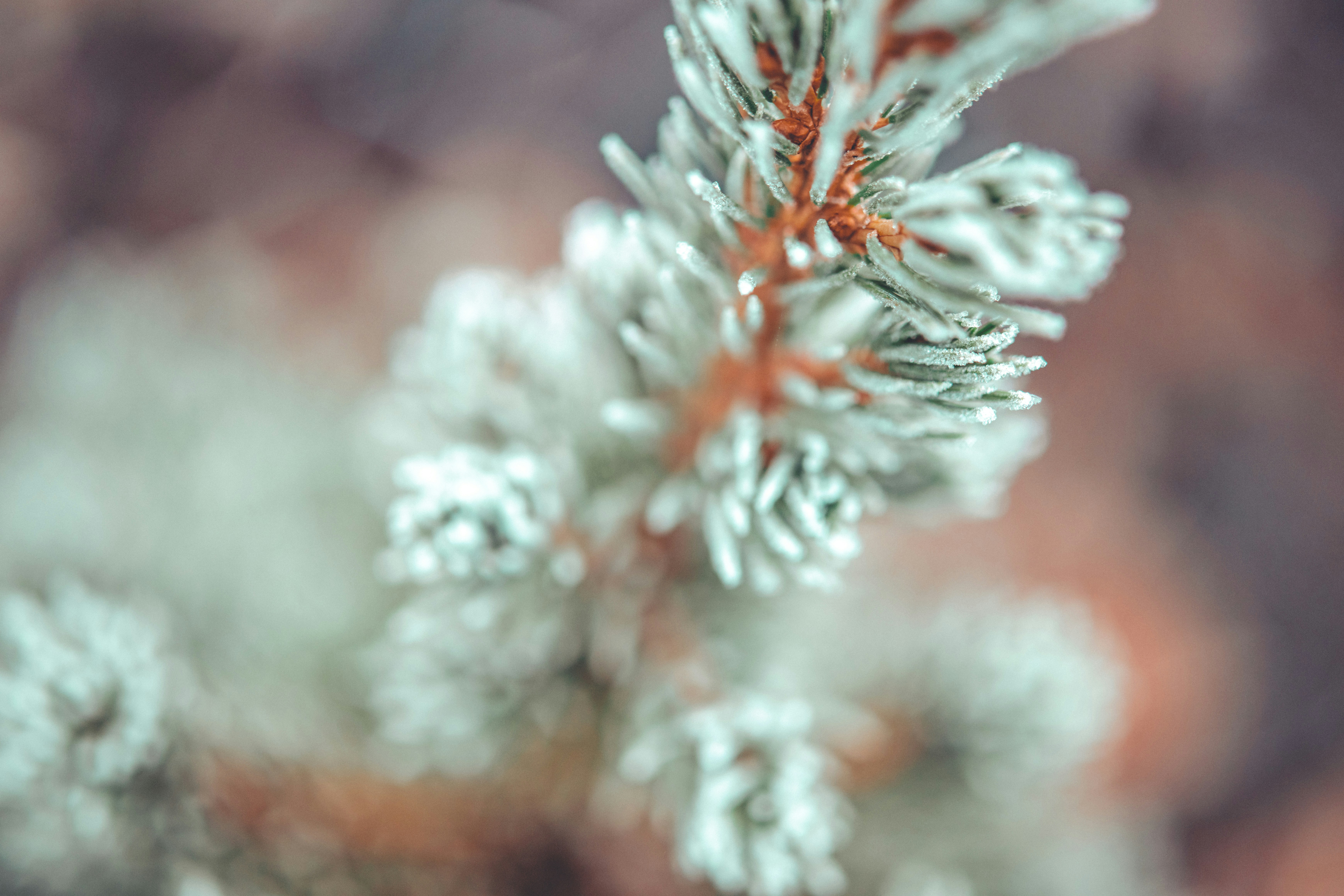 Photo by raimondklavins