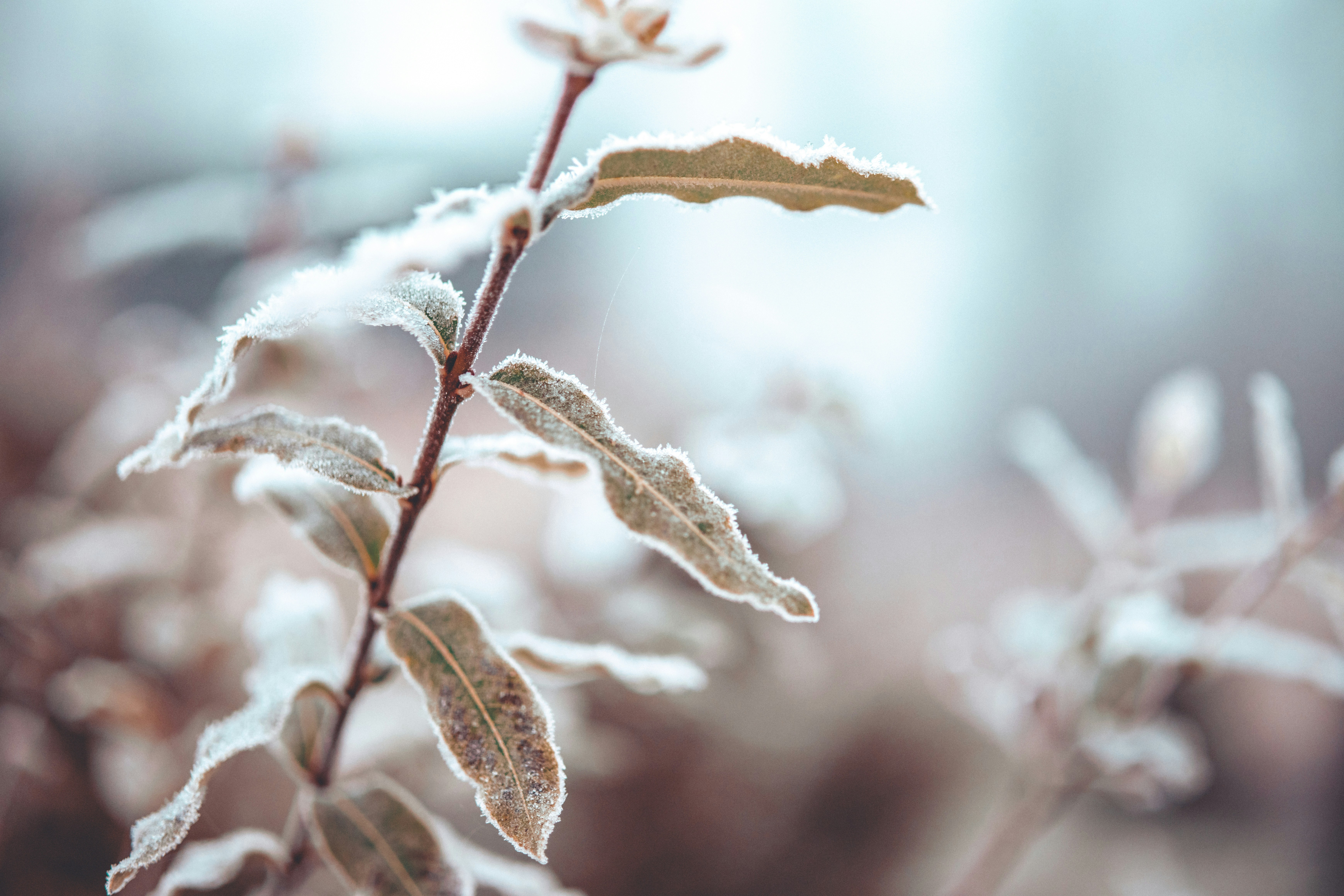 Photo by raimondklavins