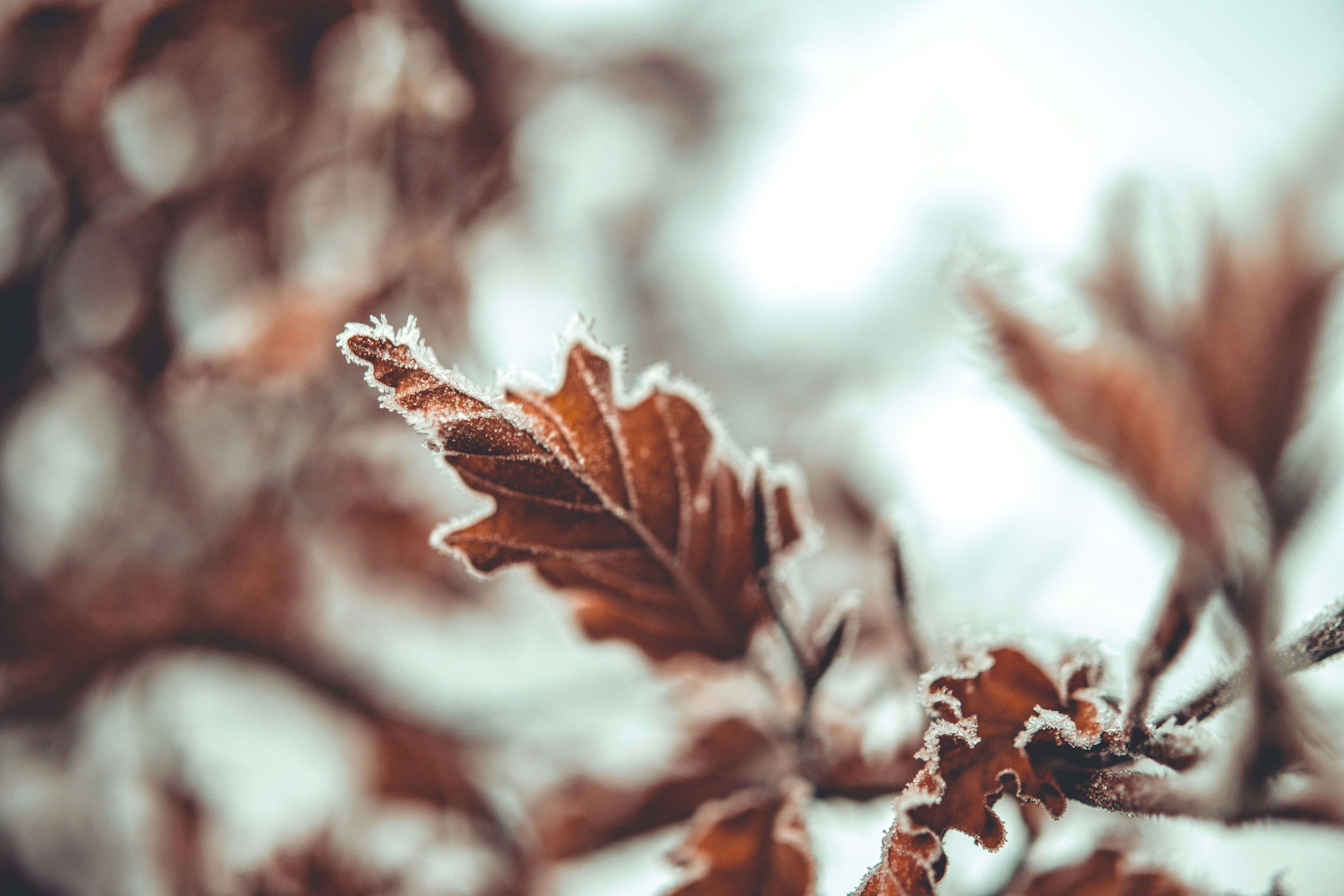 Photo by raimondklavins