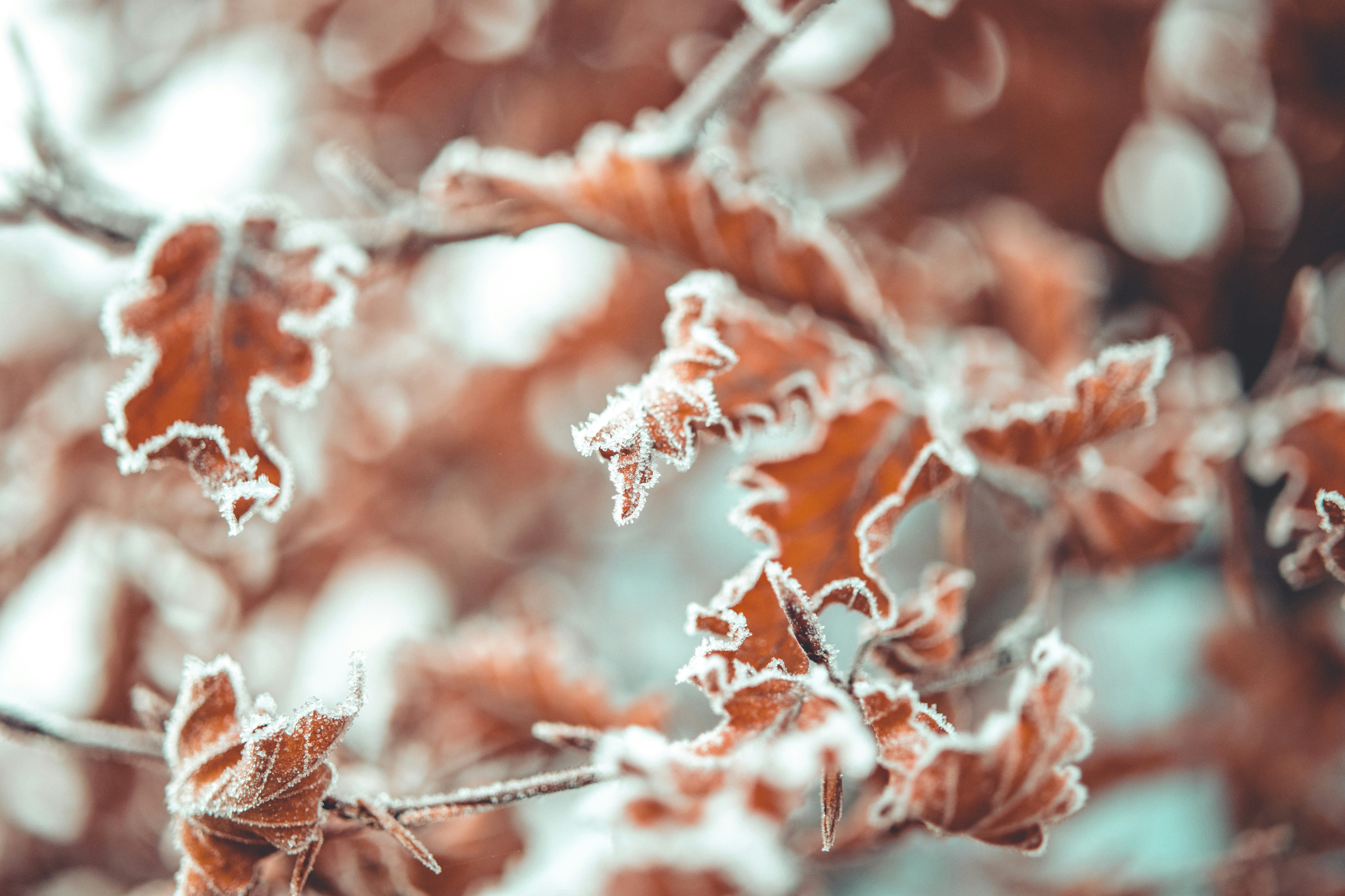 Photo by raimondklavins