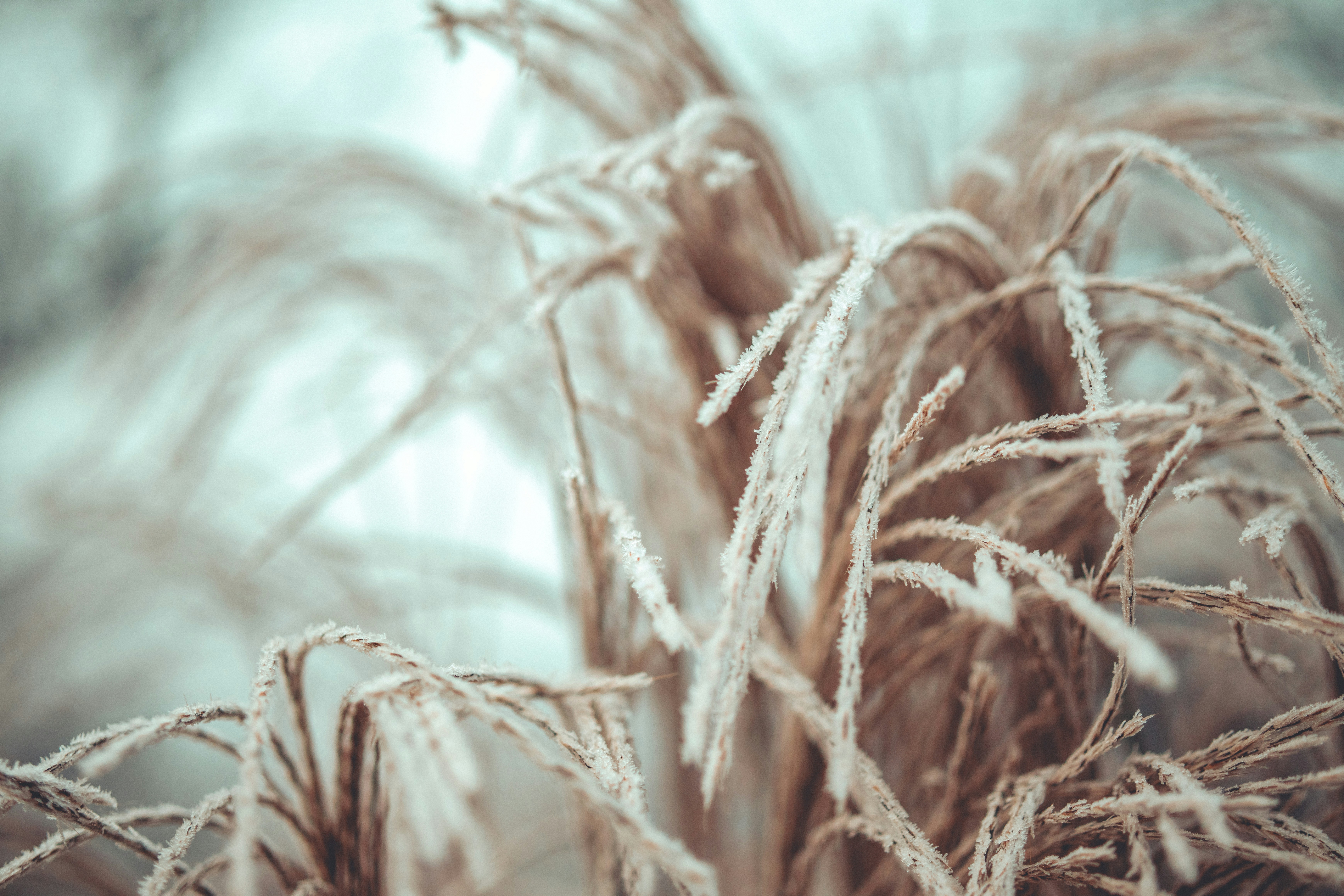 Photo by raimondklavins