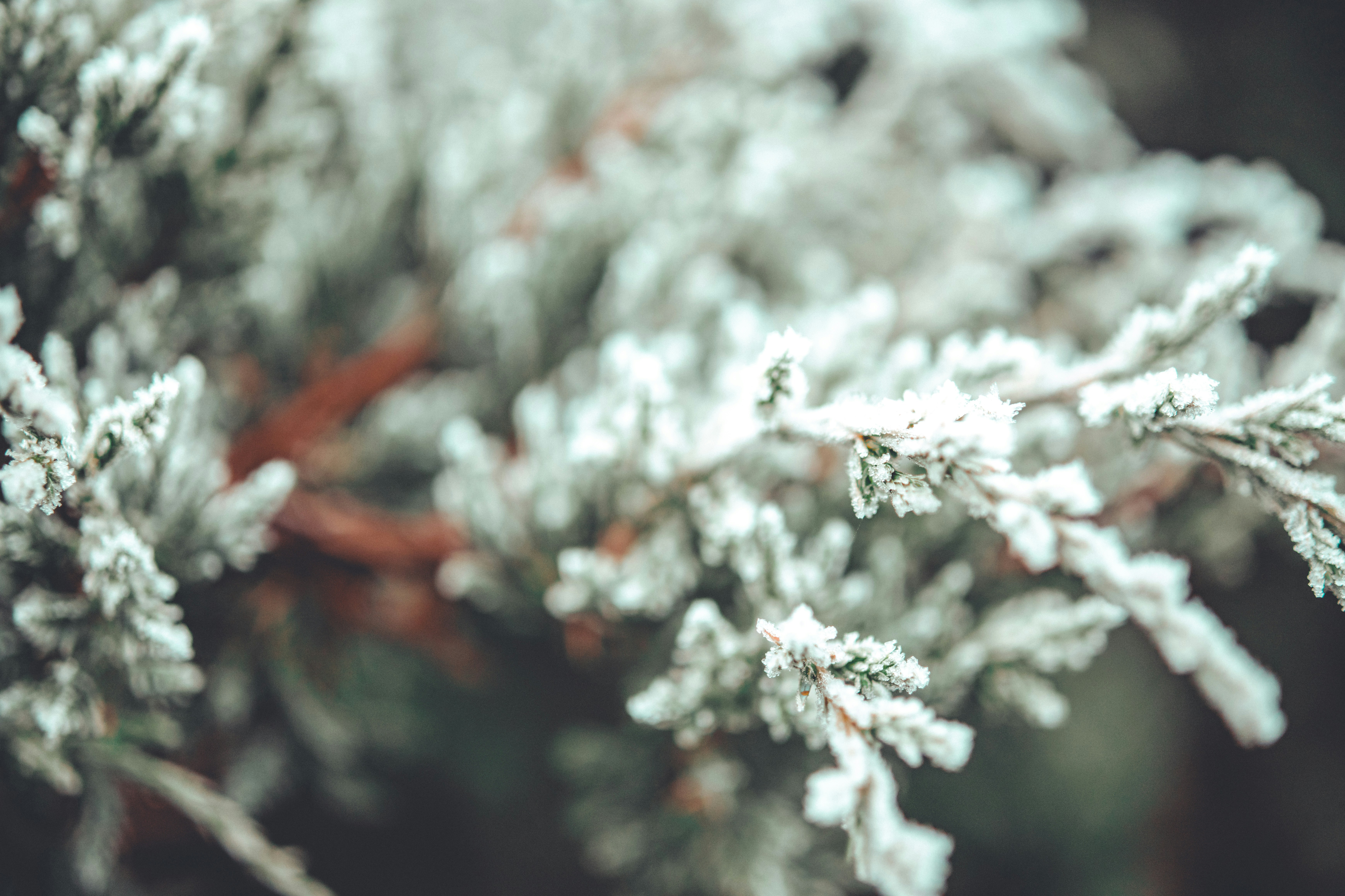 Photo by raimondklavins