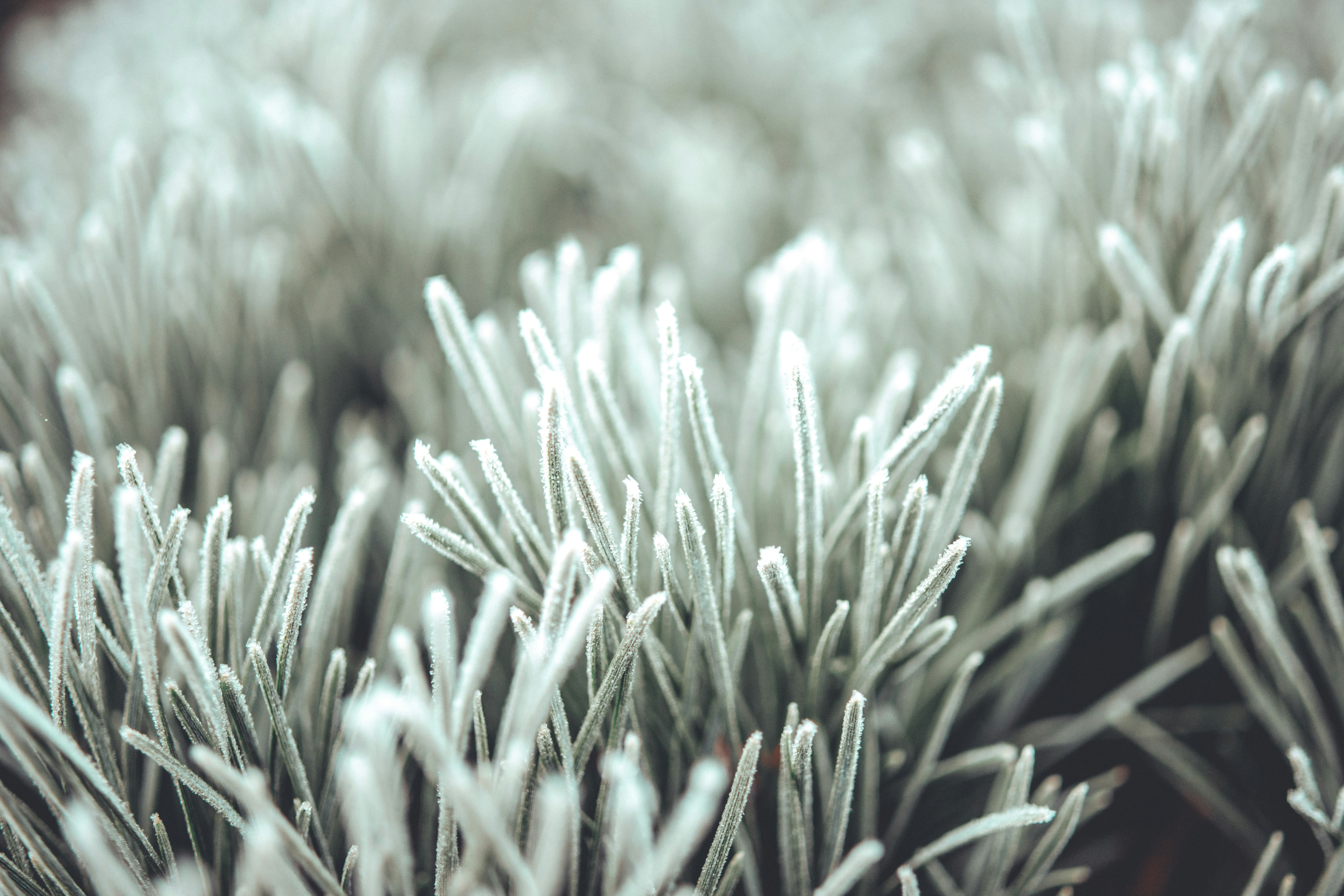 Photo by raimondklavins