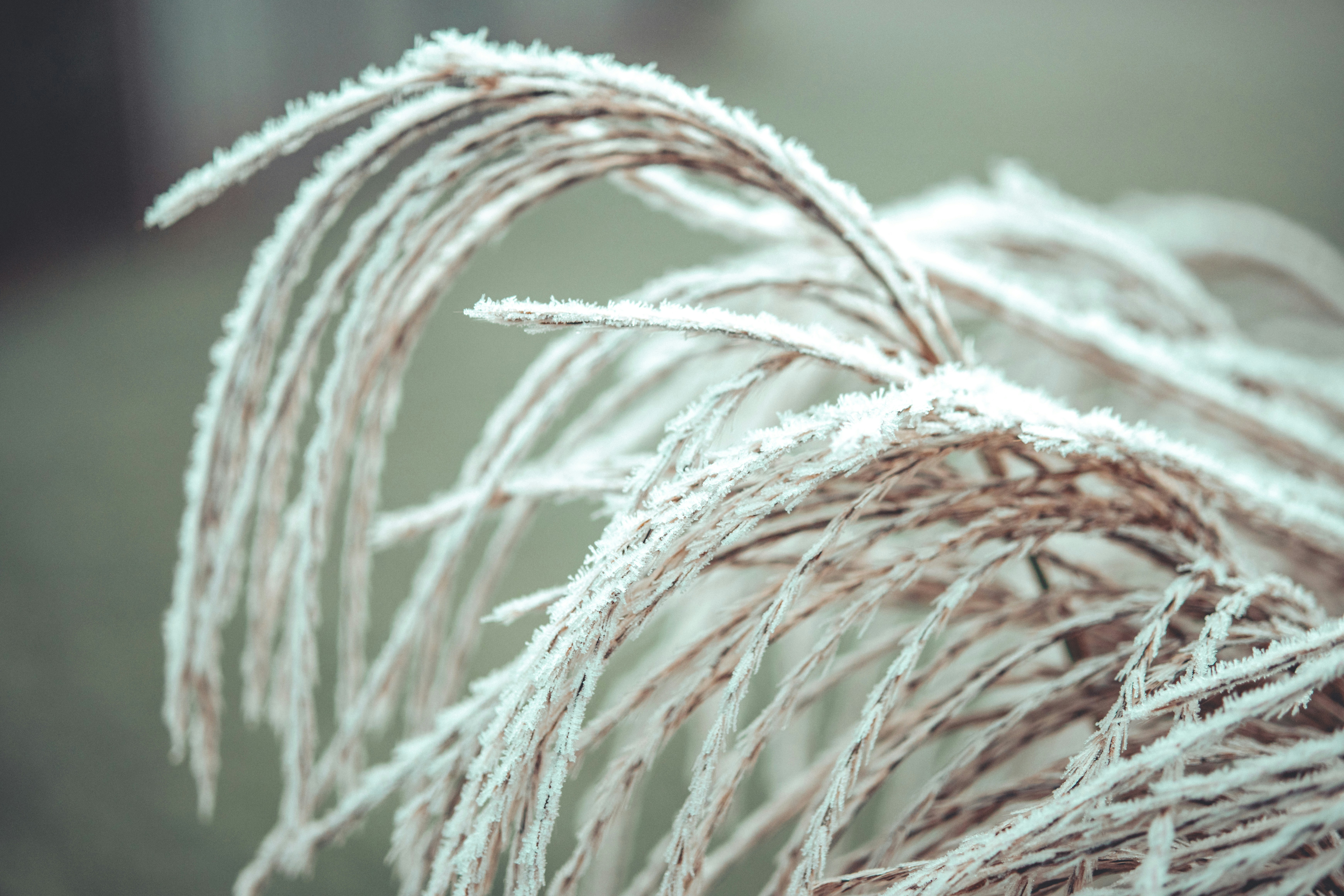 Photo by raimondklavins