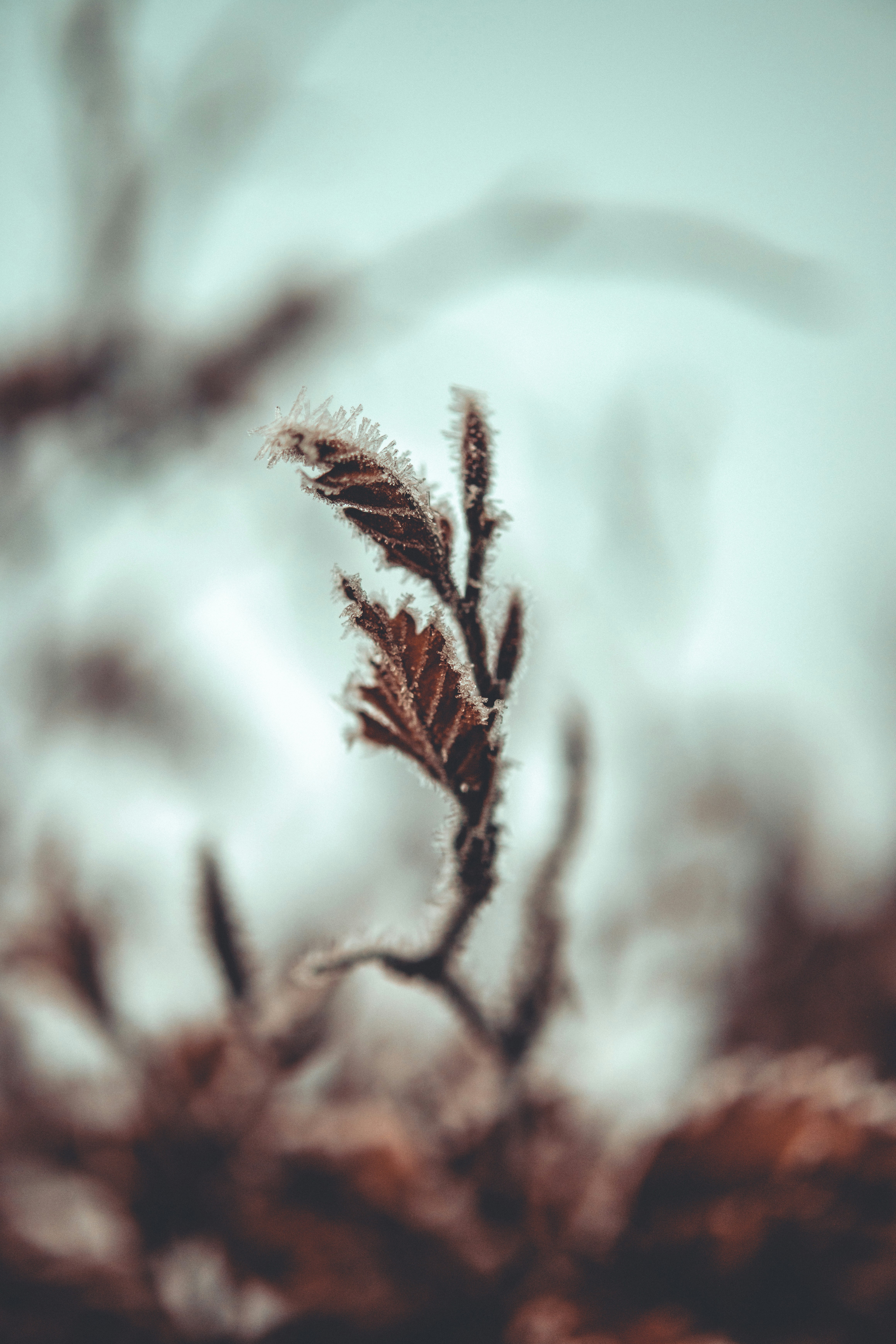 Photo by raimondklavins