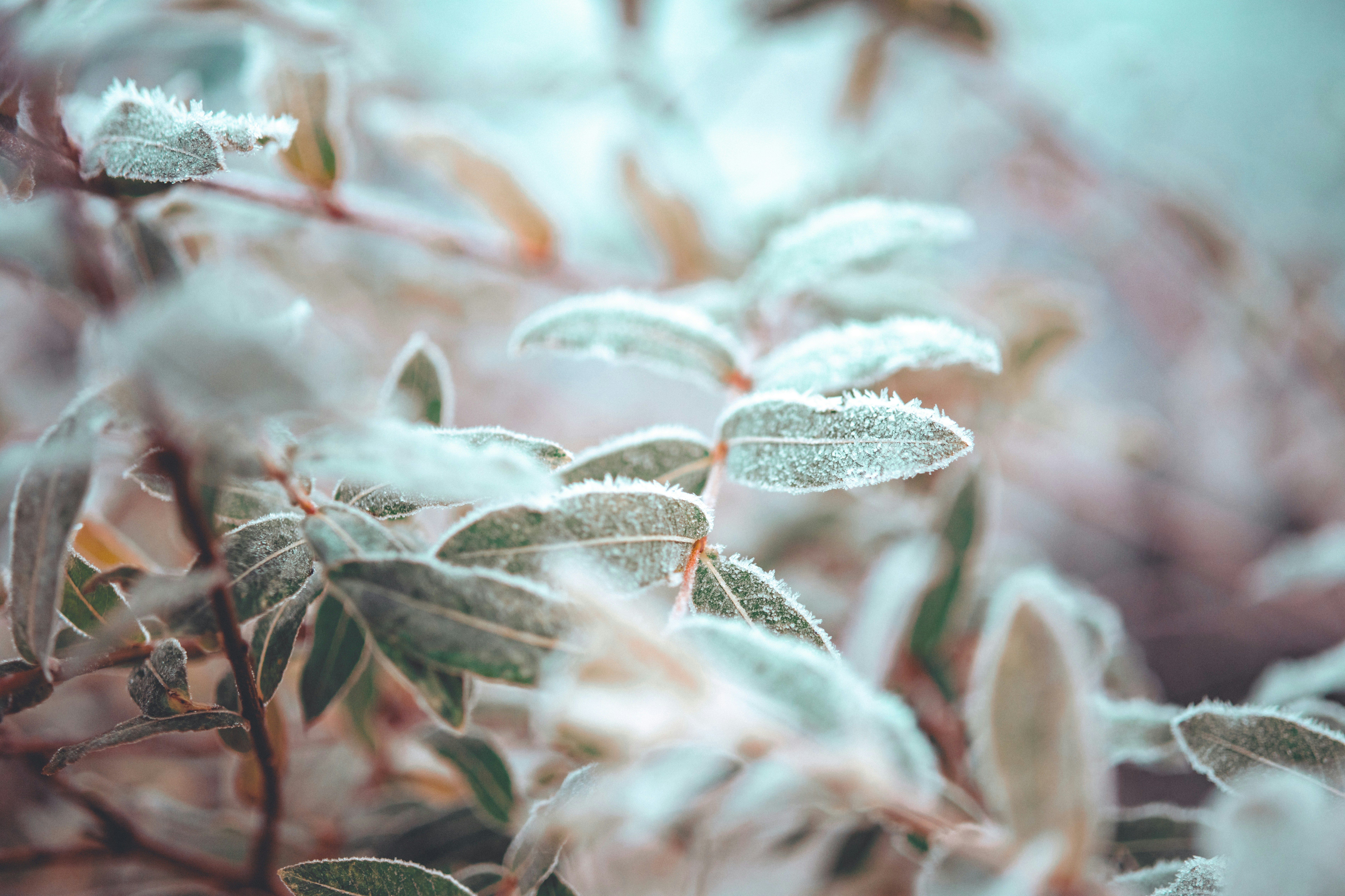 Photo by raimondklavins