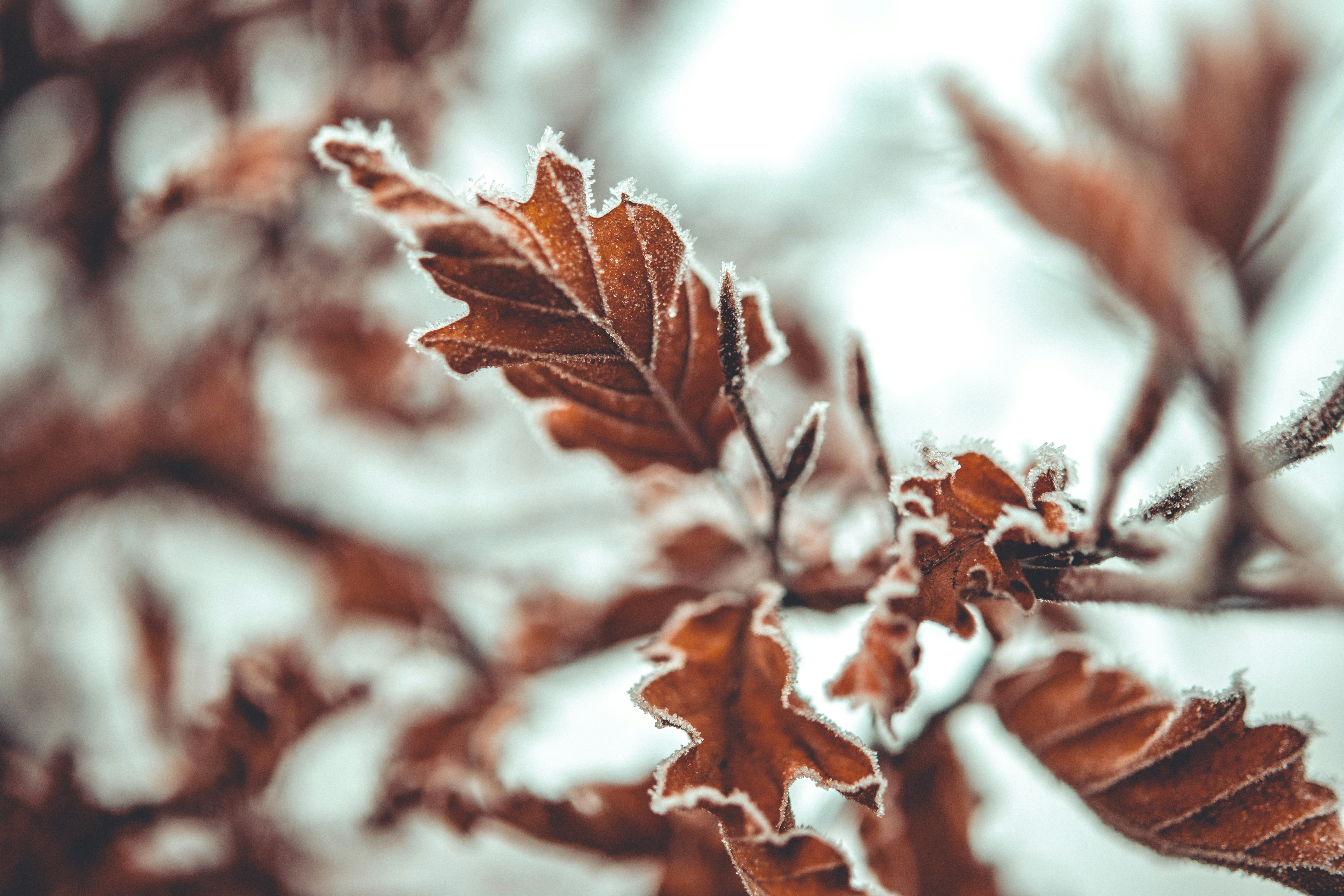 Photo by raimondklavins