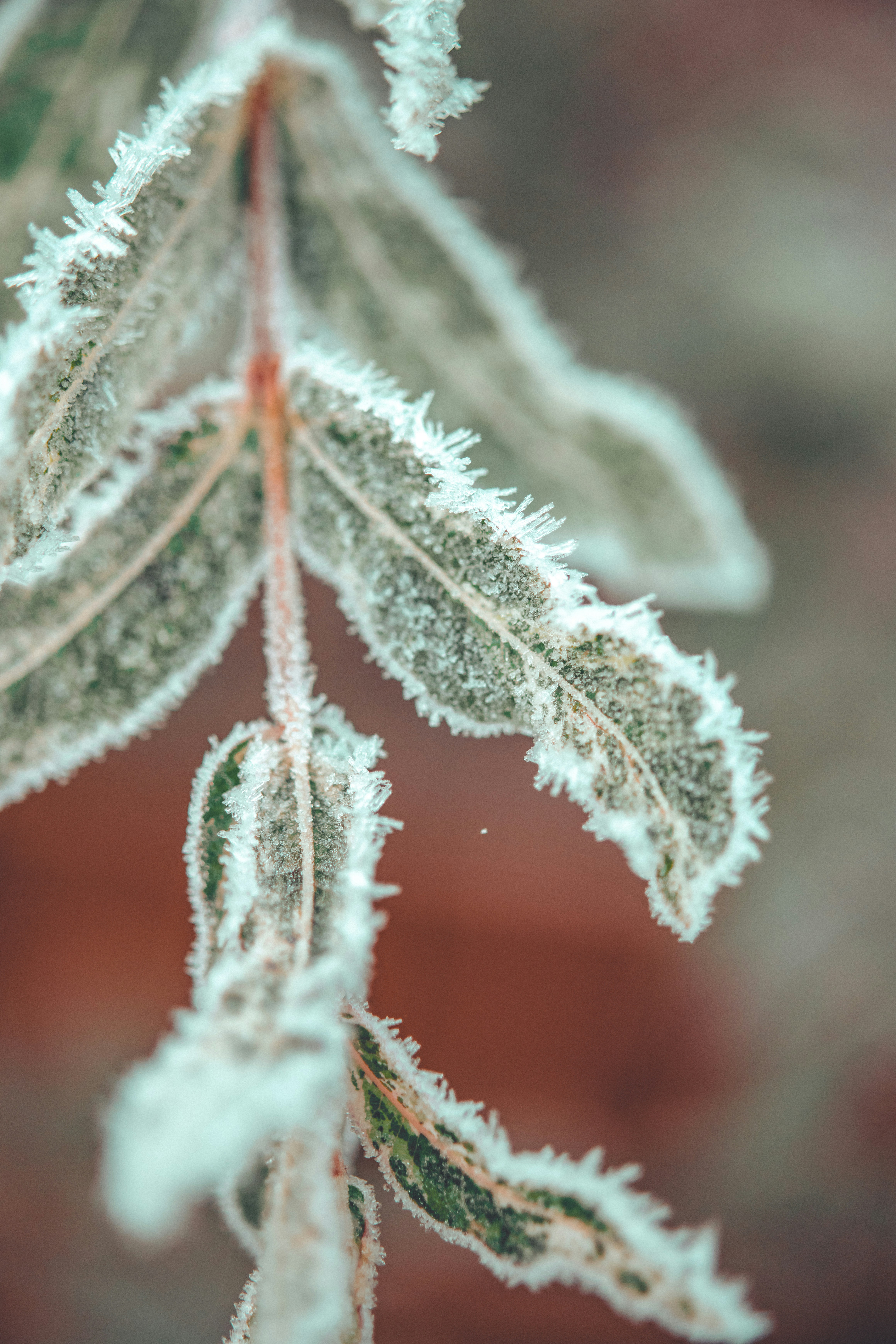 Photo by raimondklavins