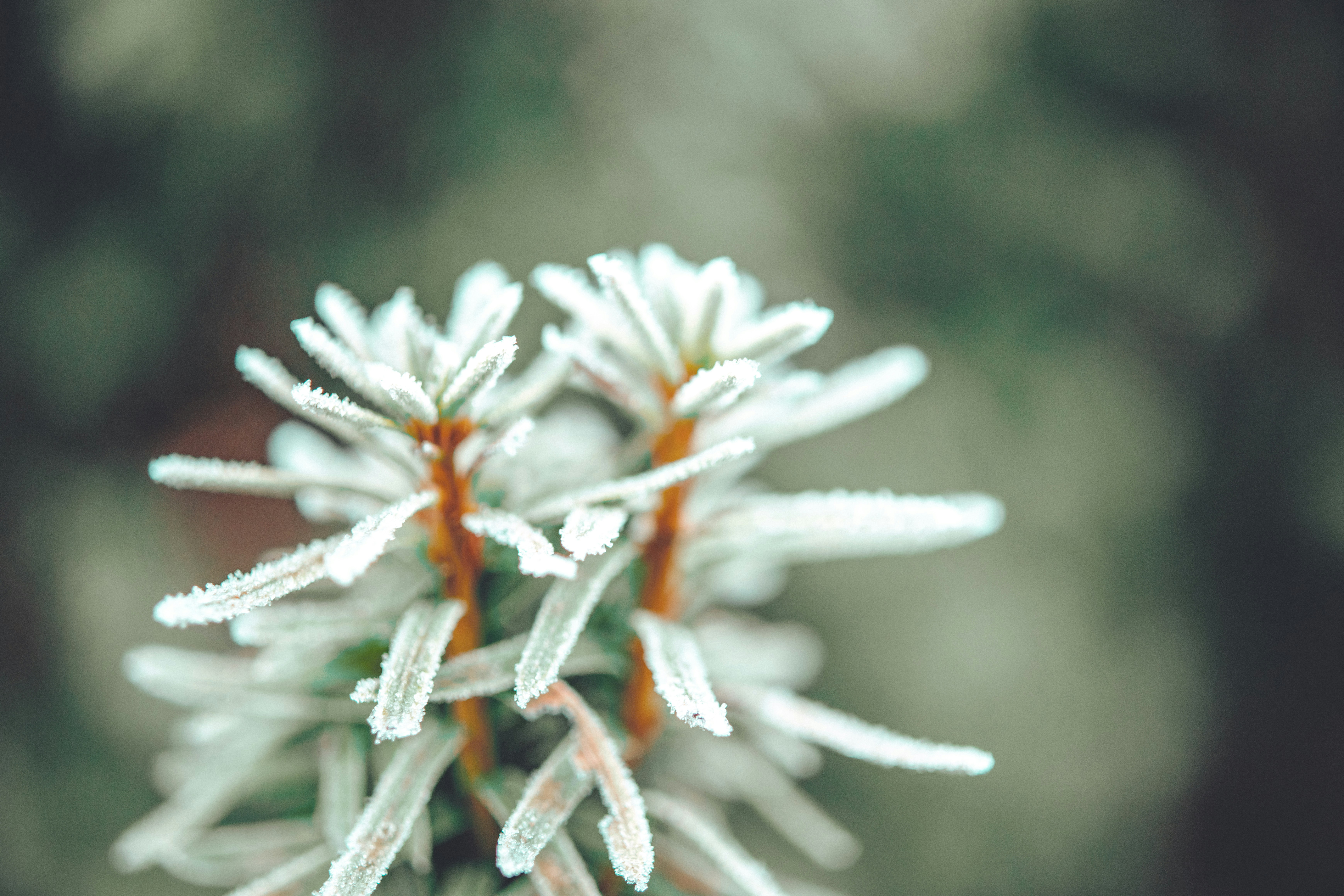 Photo by raimondklavins