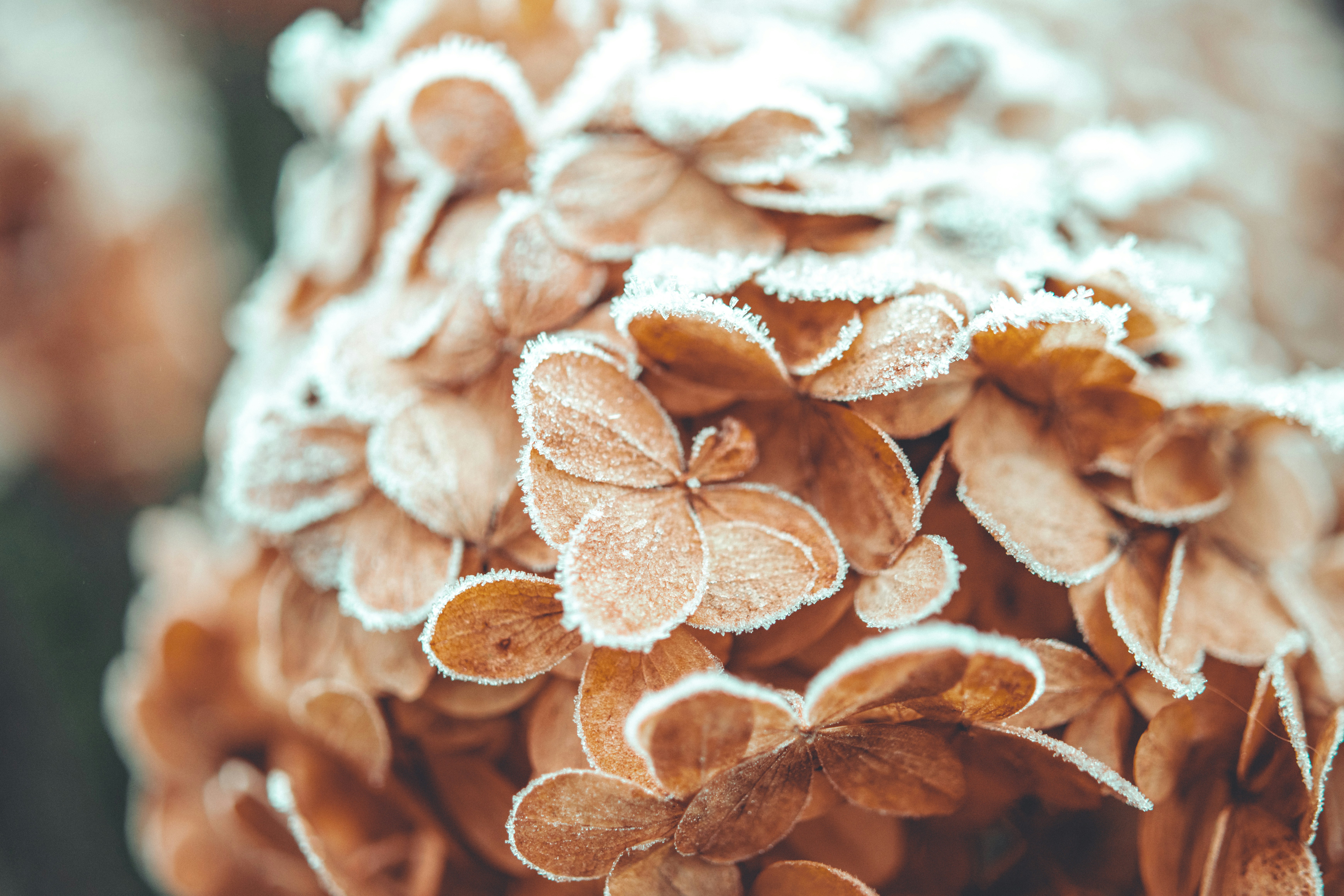 Photo by raimondklavins