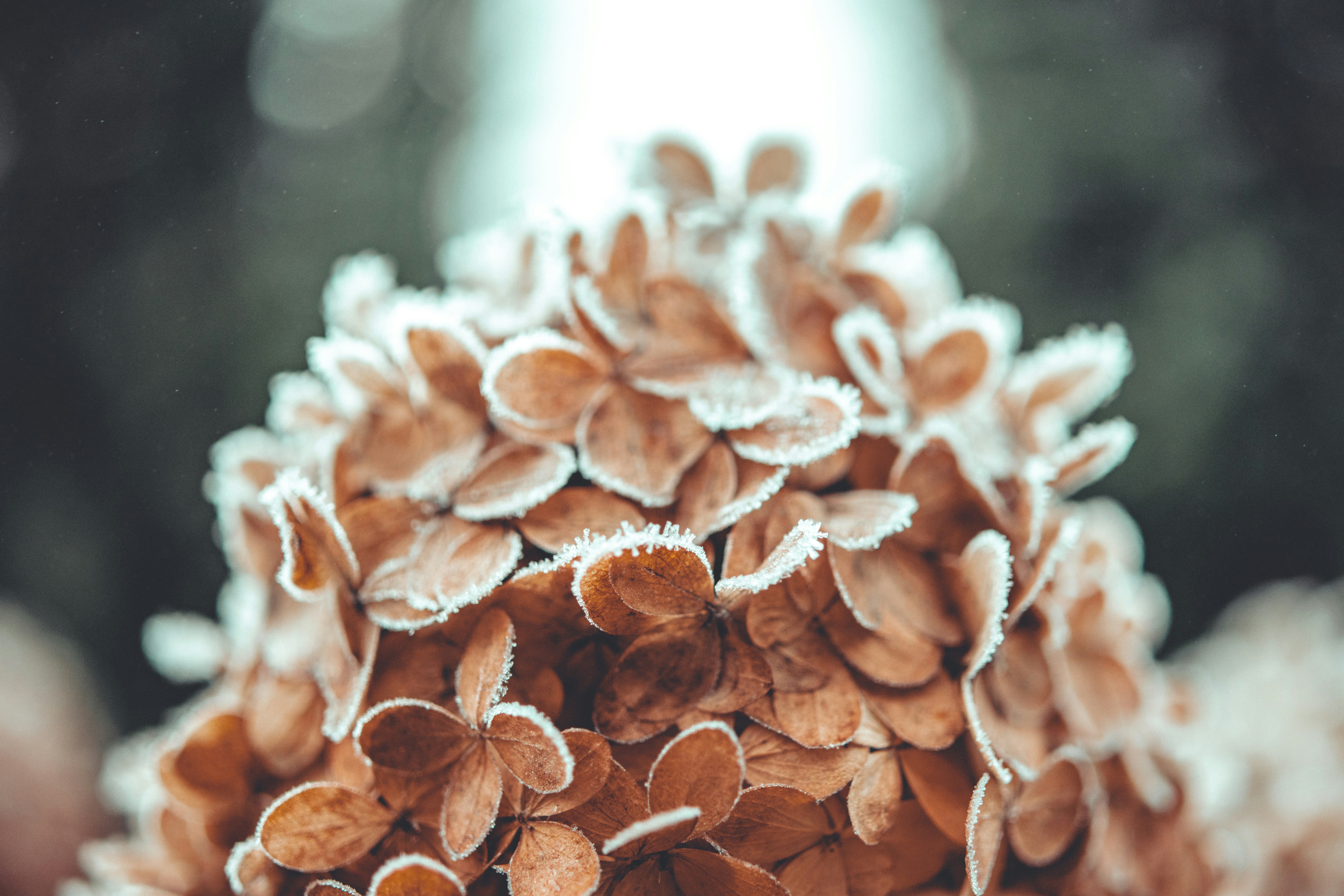 Photo by raimondklavins