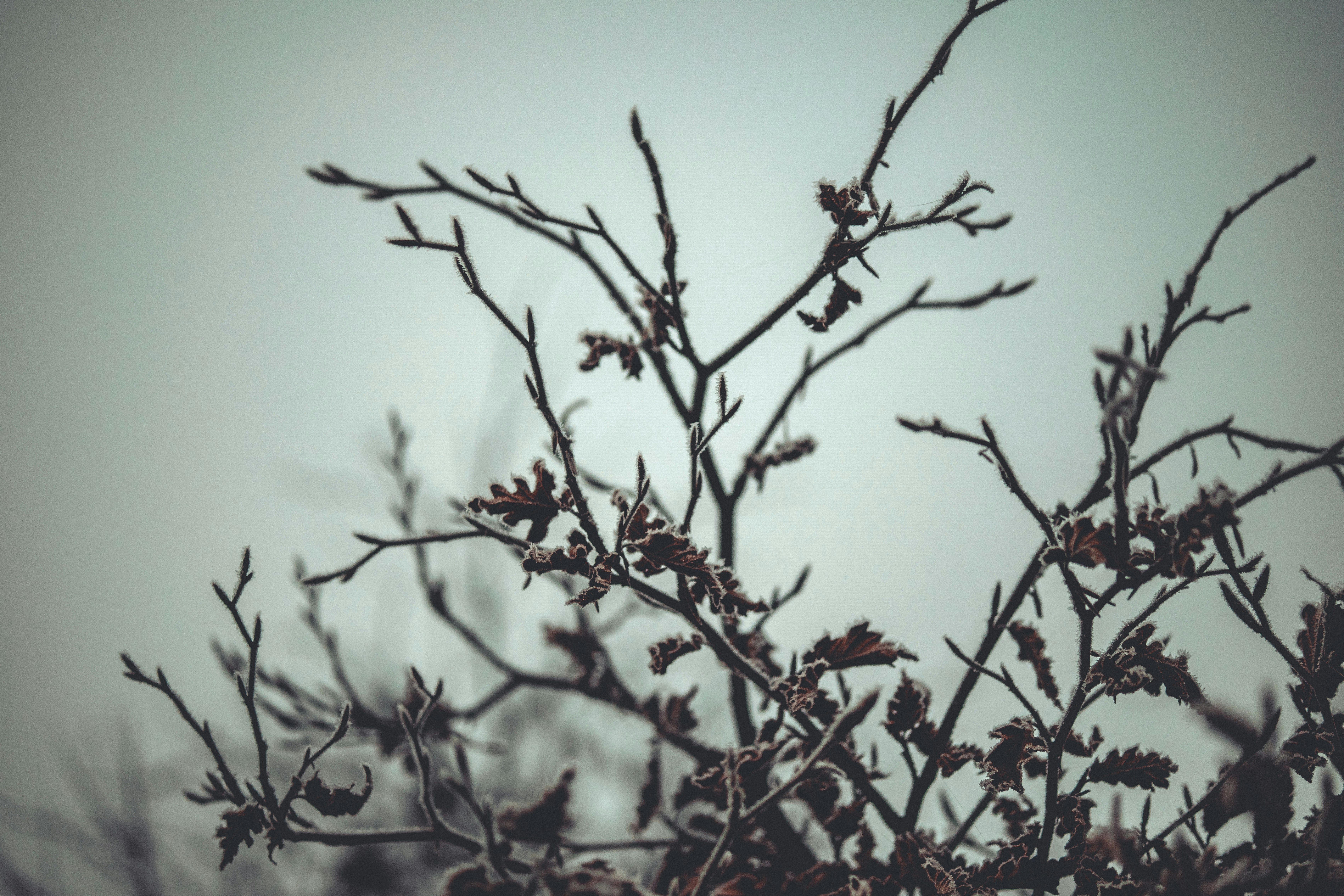 Photo by raimondklavins