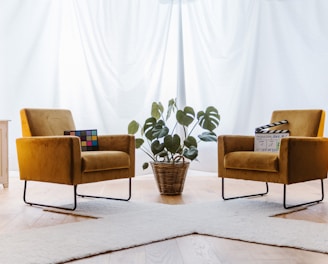 a living room with two chairs and a plant