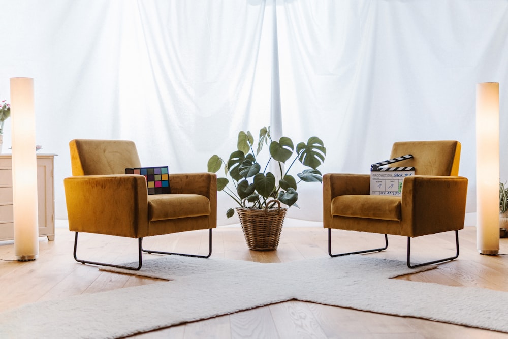 ein Wohnzimmer mit zwei Stühlen und einer Pflanze