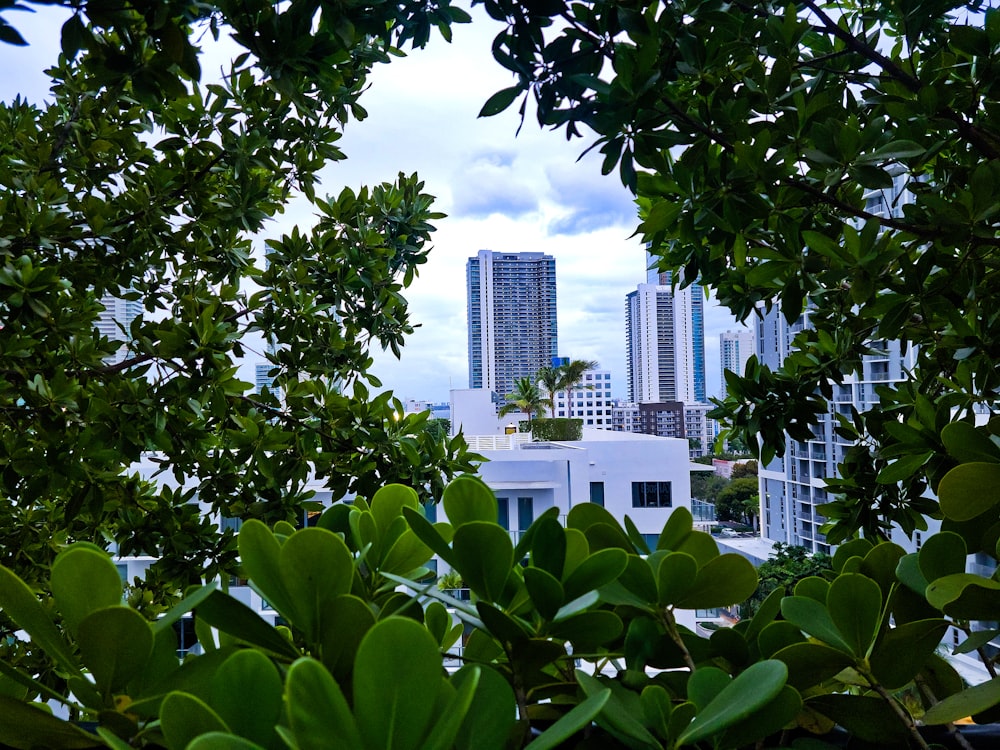 a view of a city through some trees