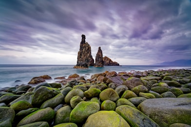 a rocky beach covered in green rocks under a cloudy sky