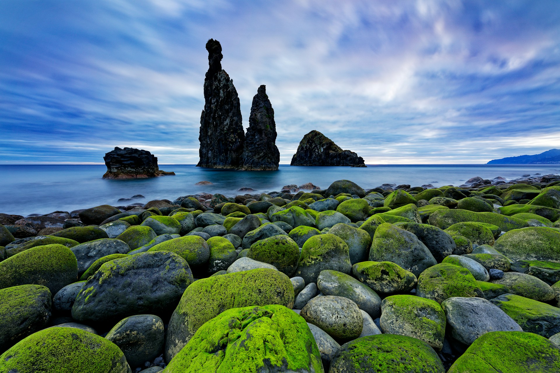 a rocky beach covered in lots of green moss