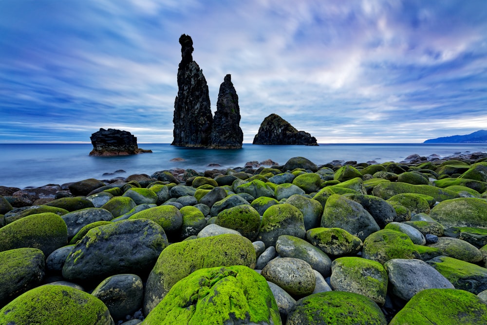 a rocky beach covered in lots of green moss