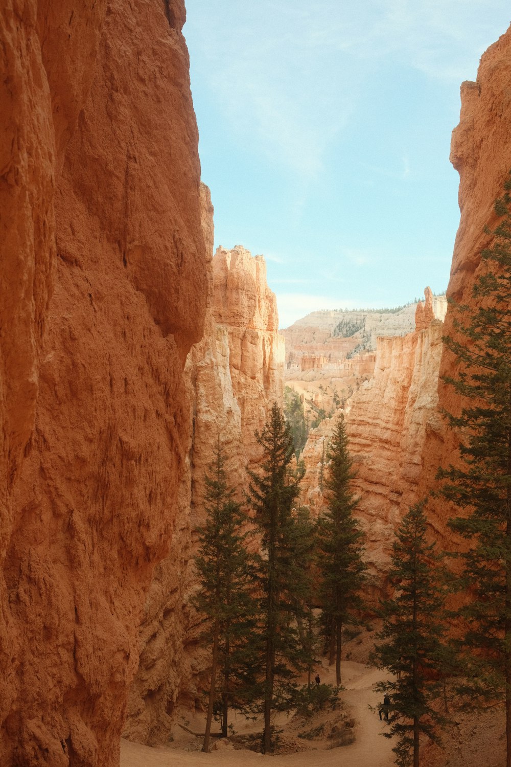 a view of a rocky landscape with trees in the foreground