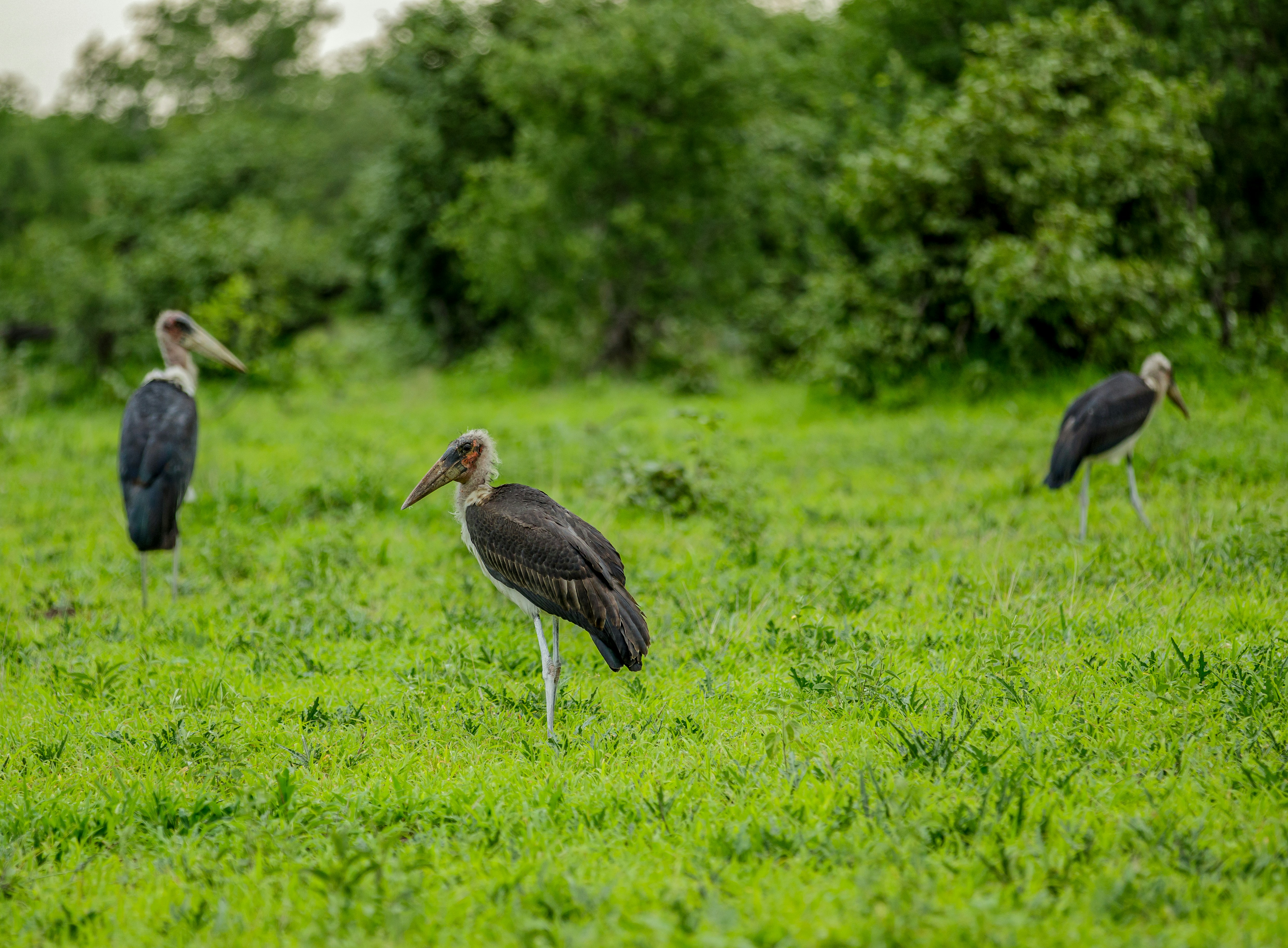 Photo by johnboatile