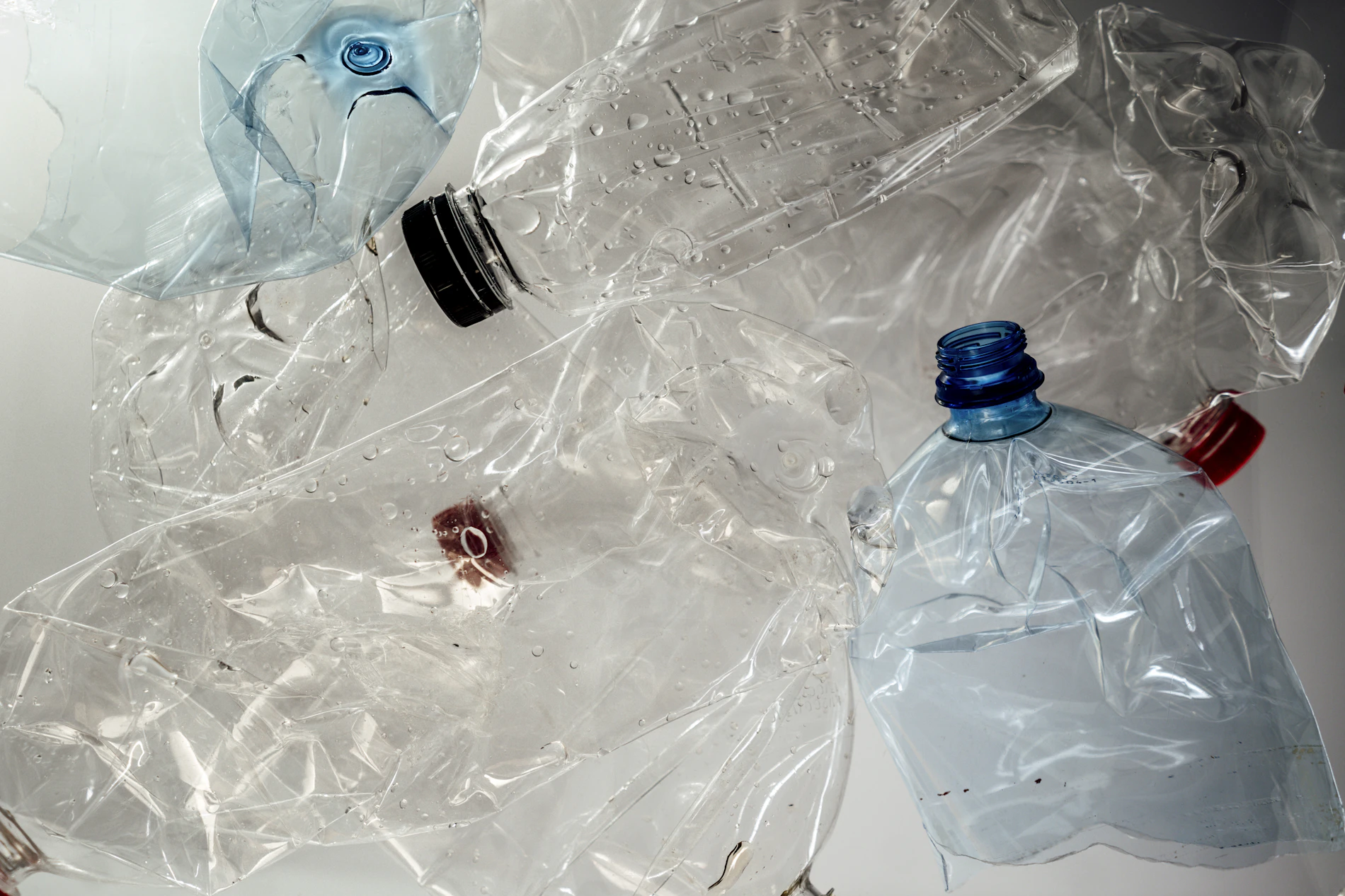 Plastic bottles produced at the GPAK facility