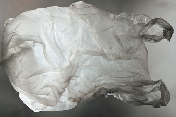 🗞️El prometedor plan para prohibir el uso de bolsas de plástico termina en un rotundo fracaso