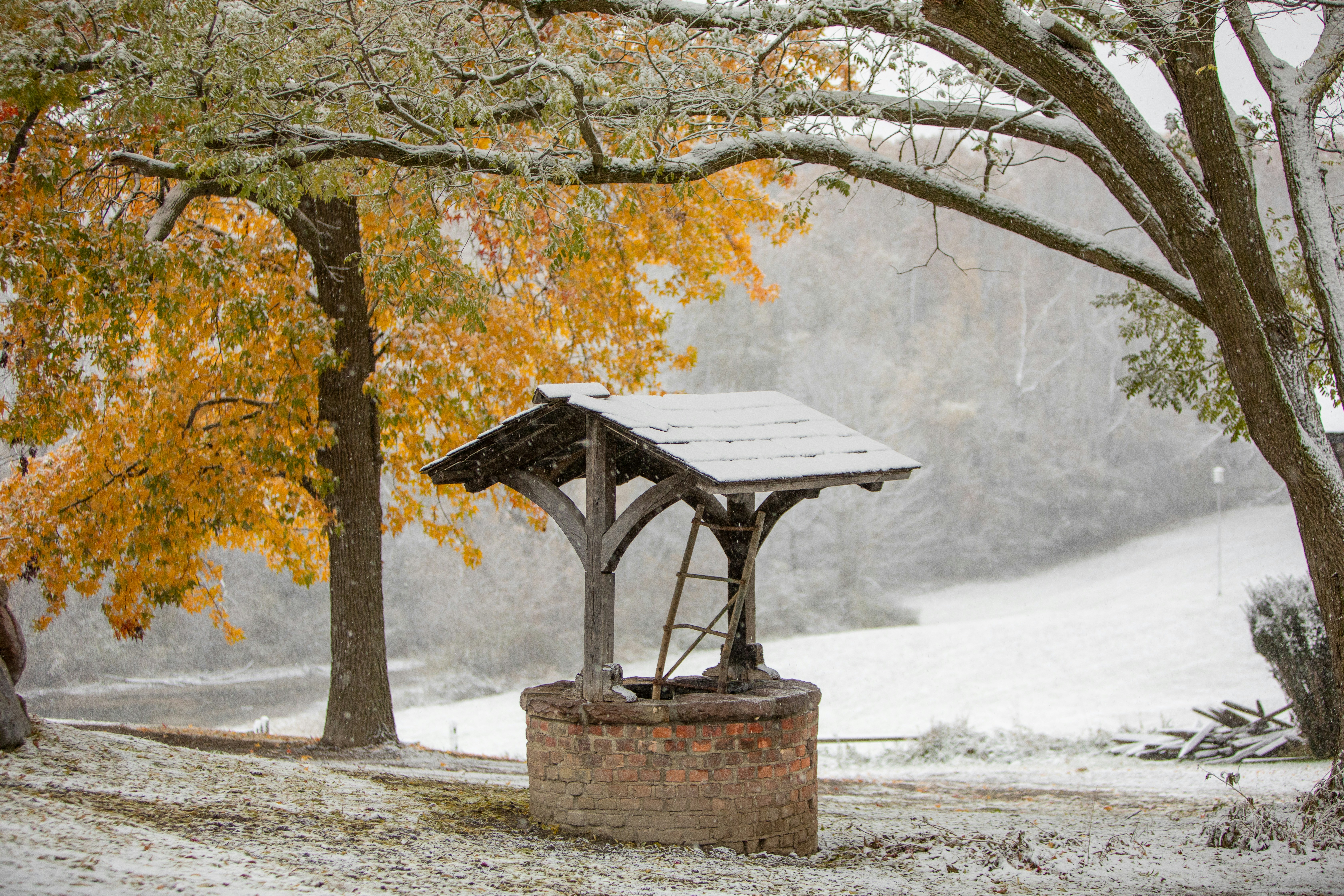 a gazebo in the middle of a snowy field