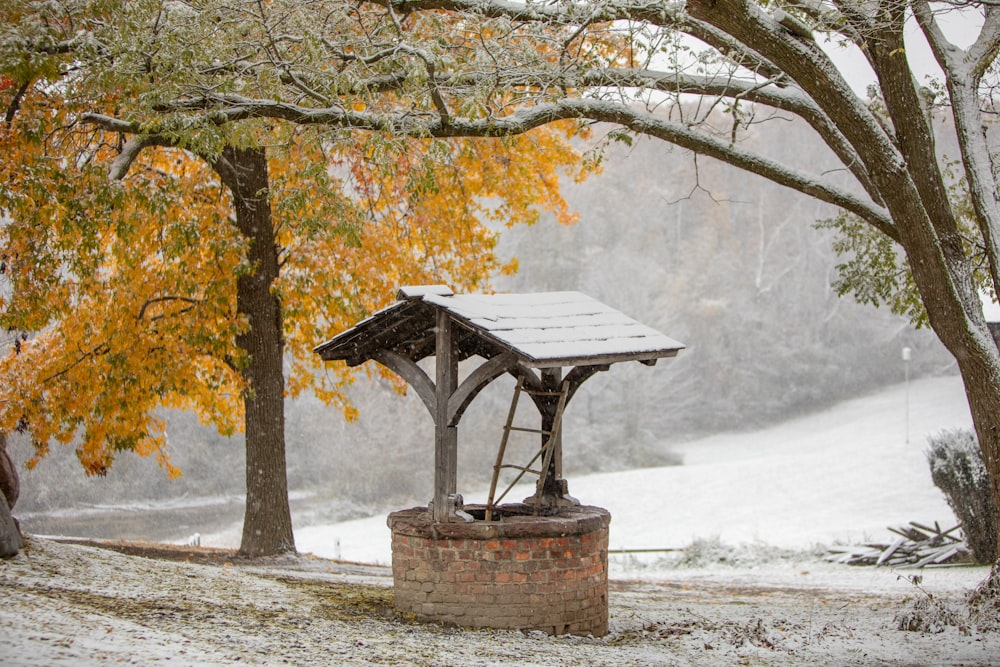 a gazebo in the middle of a snowy field