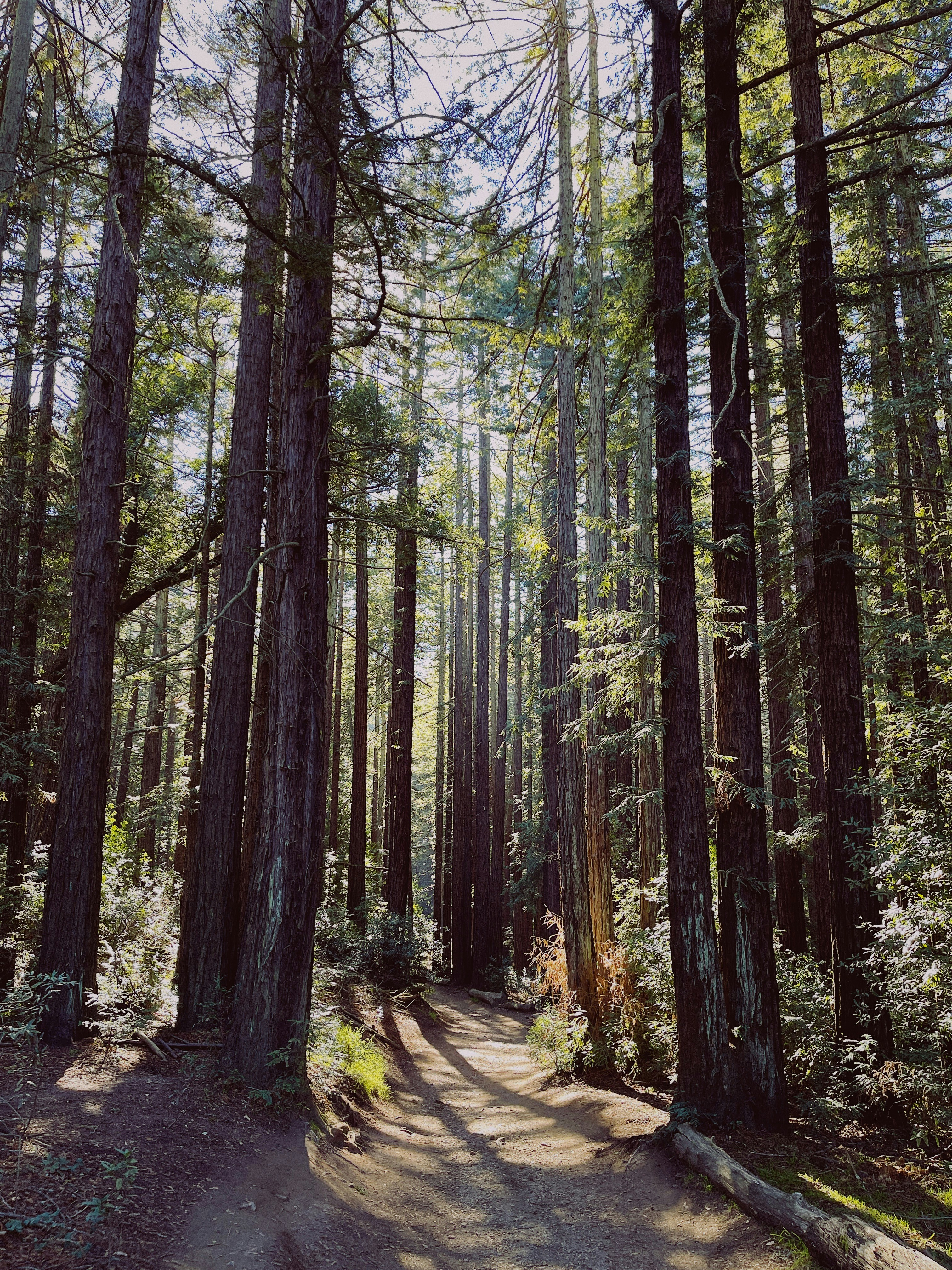 Photo by christopherstites