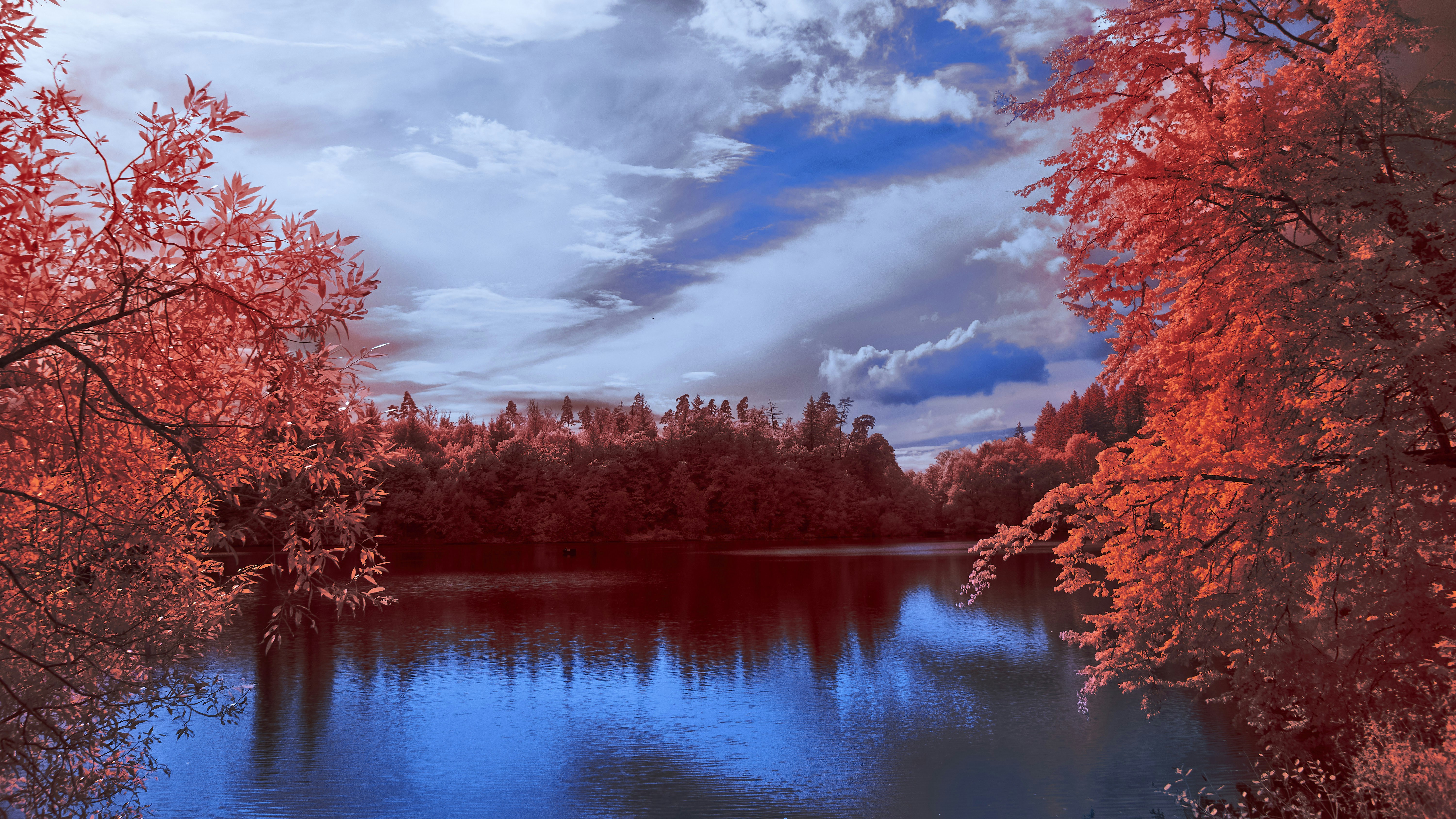 Photo by wolfgang_hasselmann