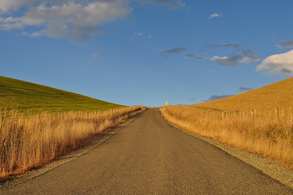 an empty road in the middle of a wheat field