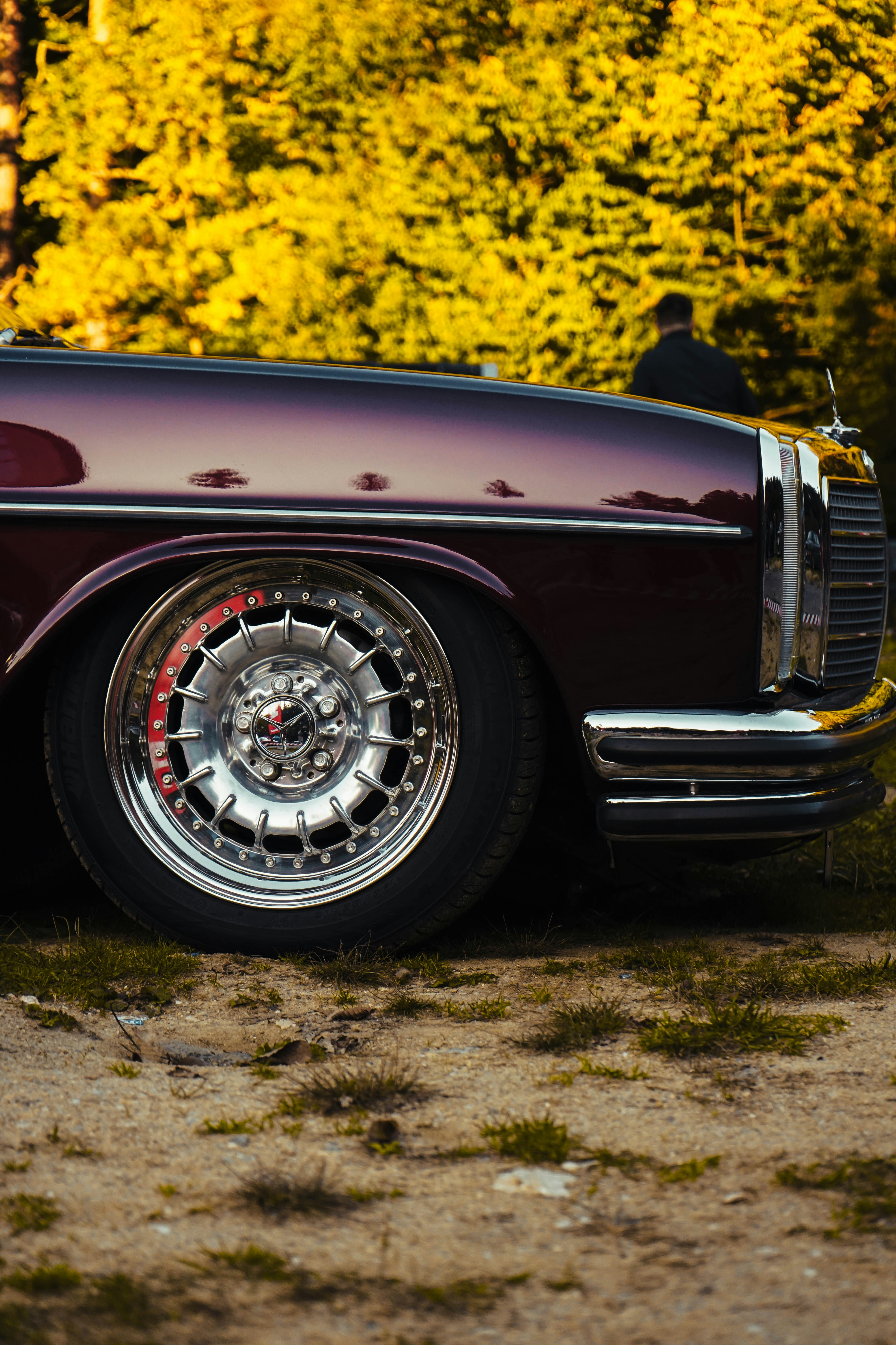 Photo by calinrazvanfotograf