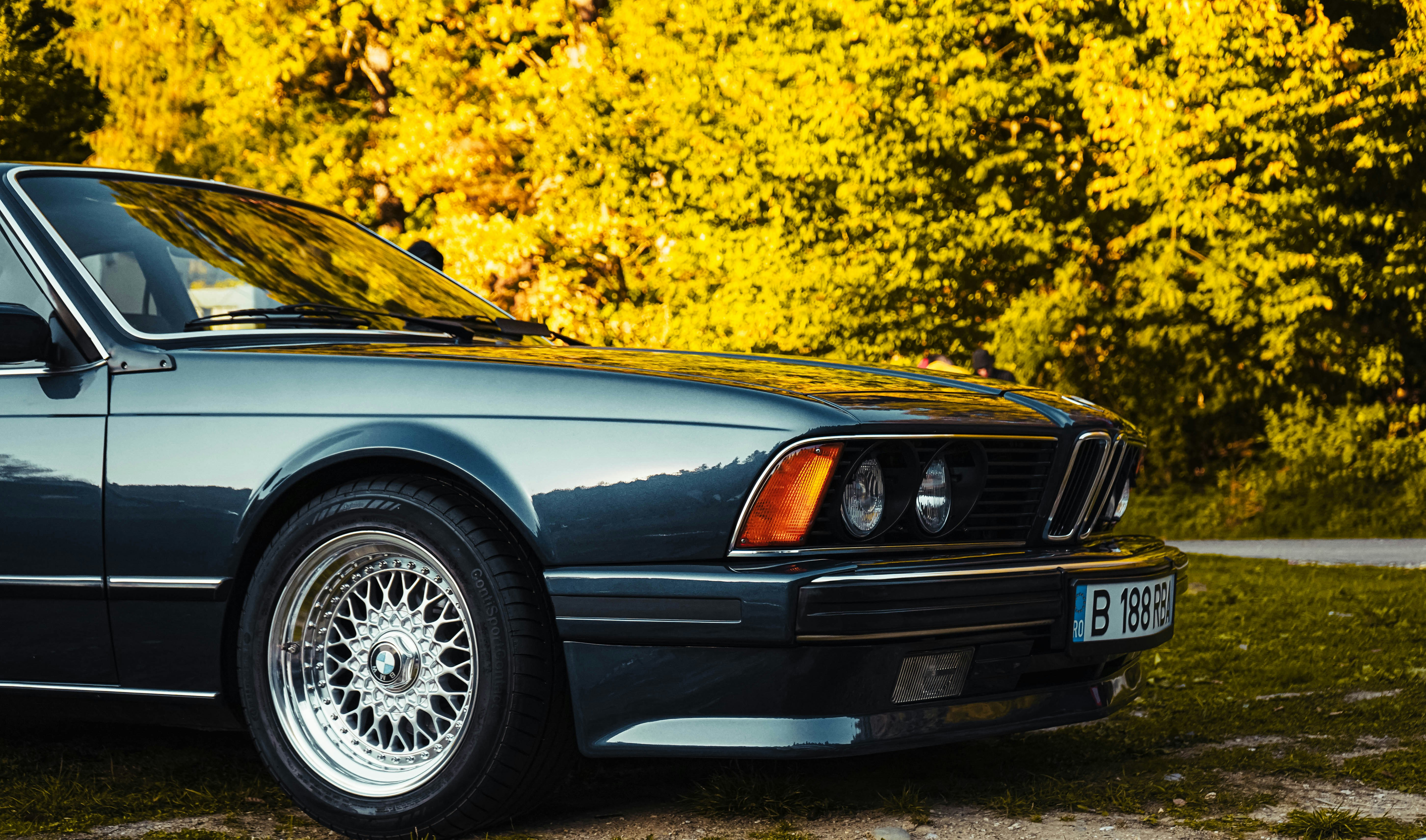 Photo by calinrazvanfotograf