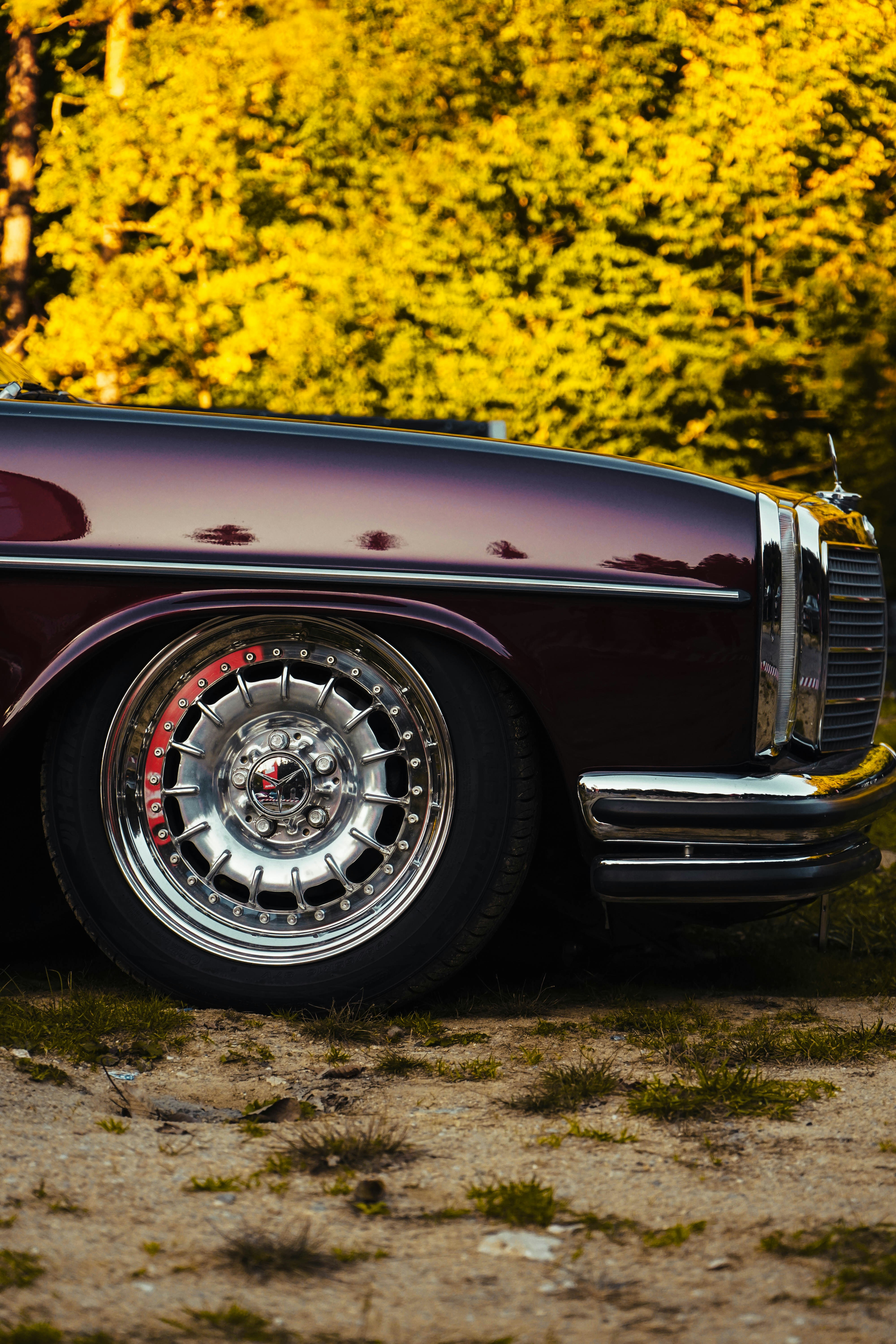 Photo by calinrazvanfotograf