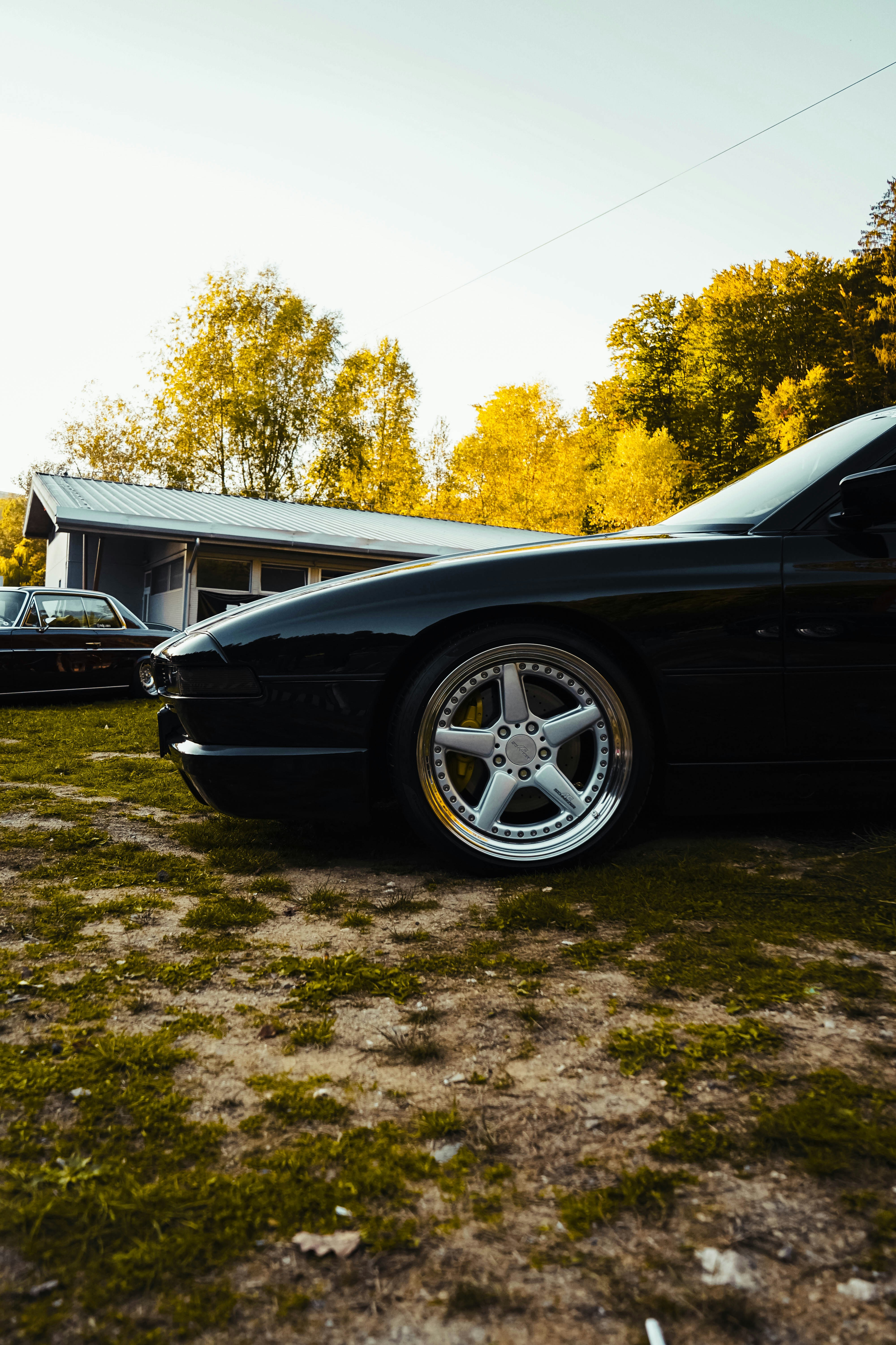 Photo by calinrazvanfotograf