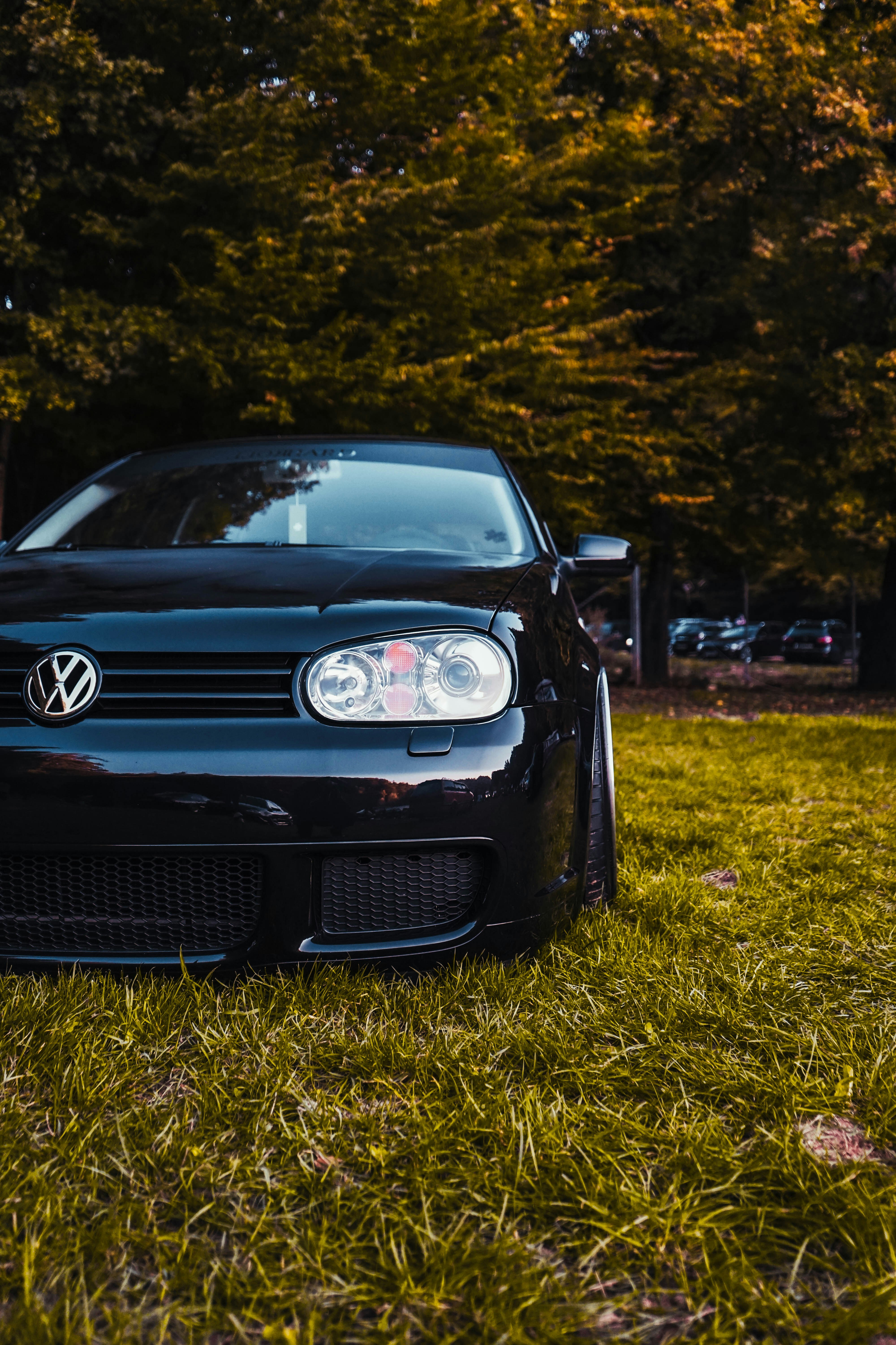 Photo by calinrazvanfotograf