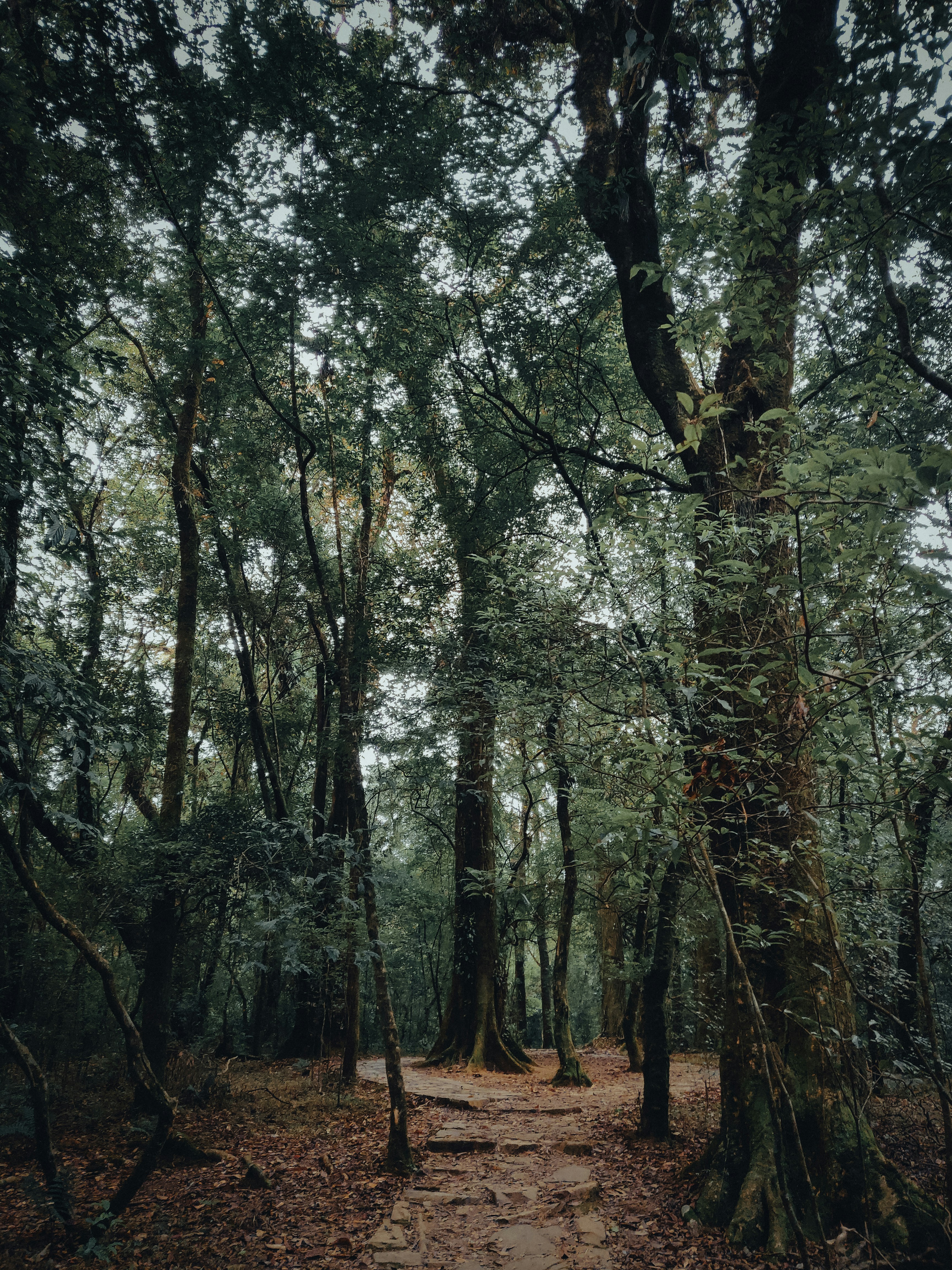 Photo by keronix_raze