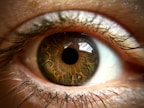 a close up of a person's green eye