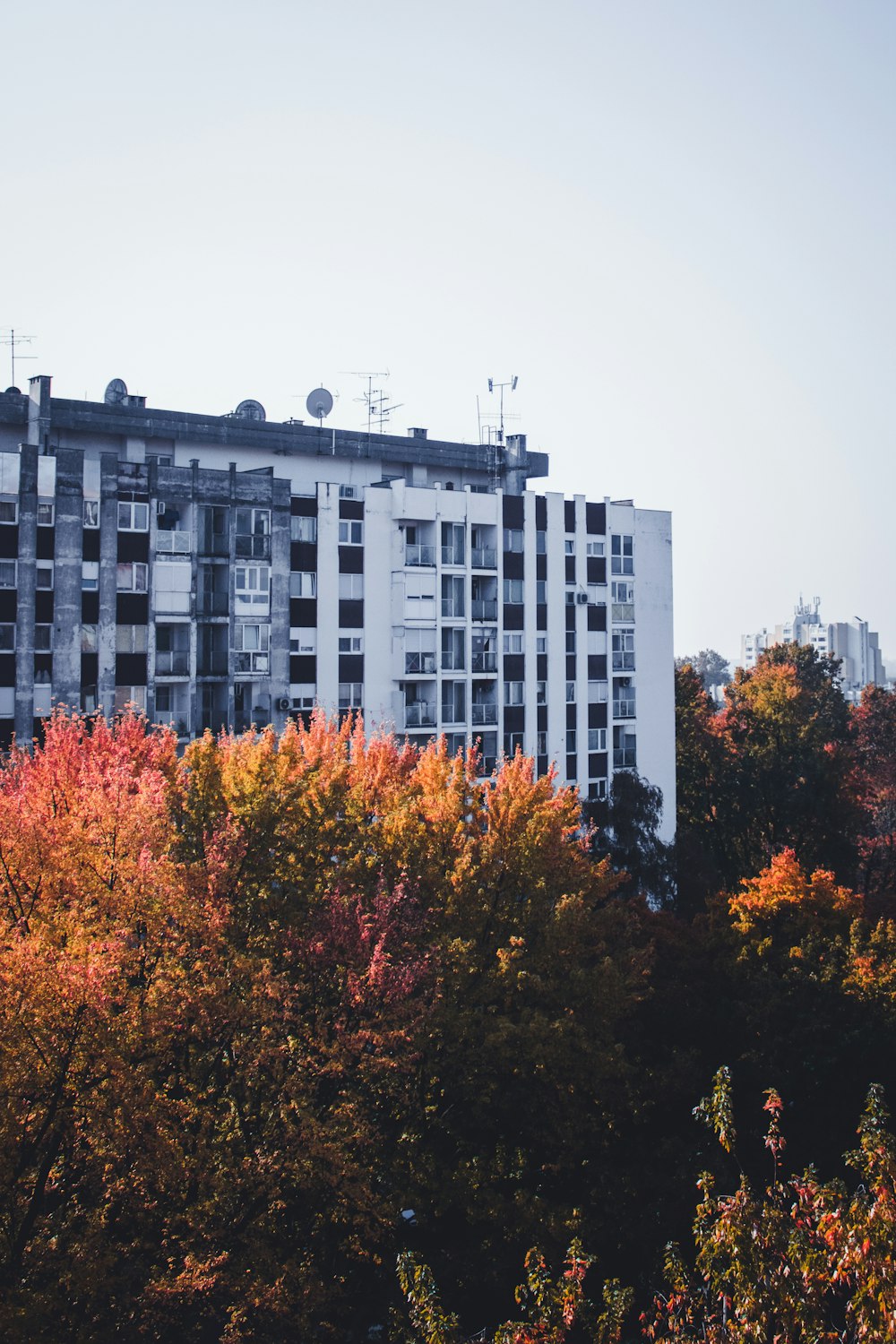 a tall building surrounded by lots of trees