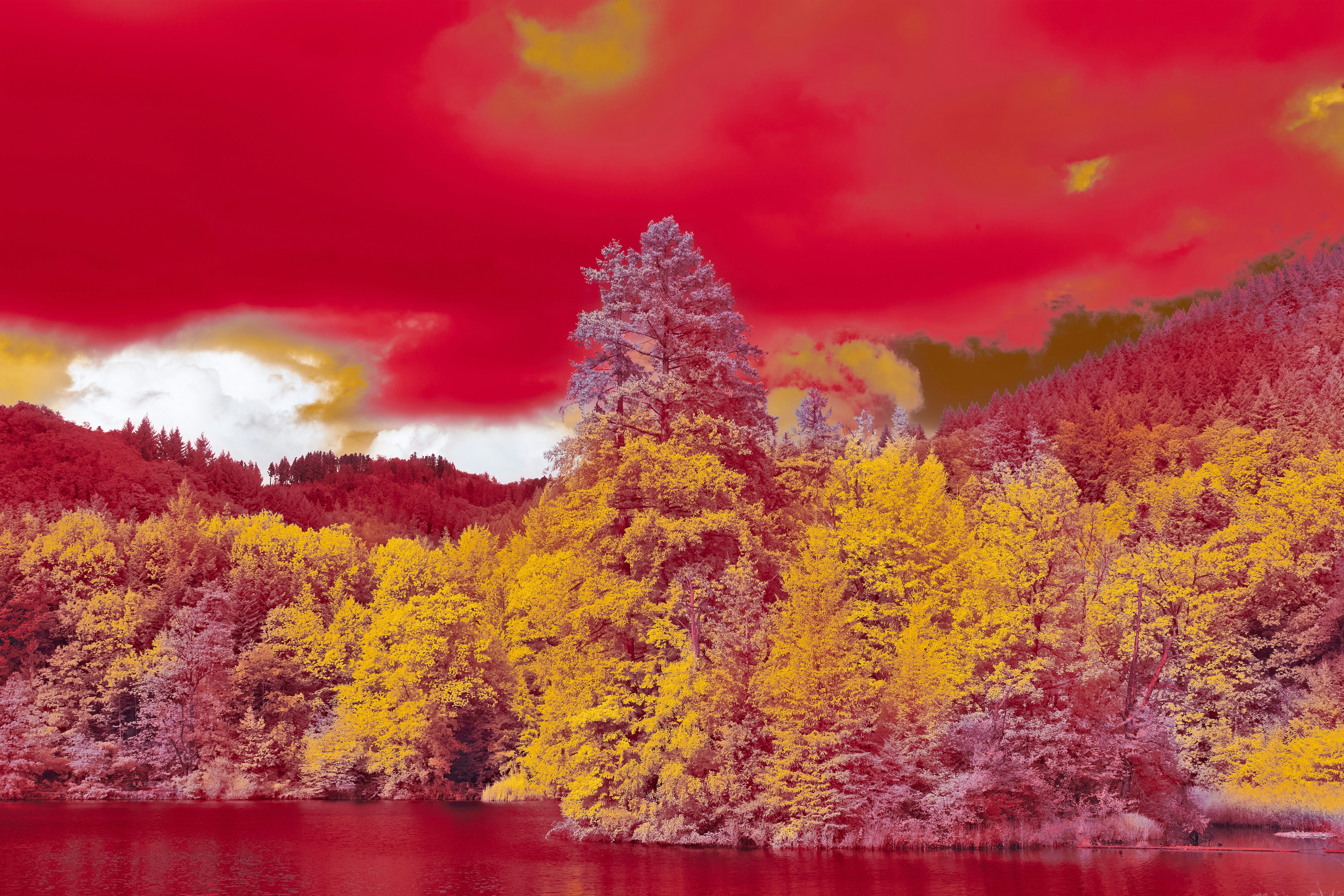 Photo by wolfgang_hasselmann