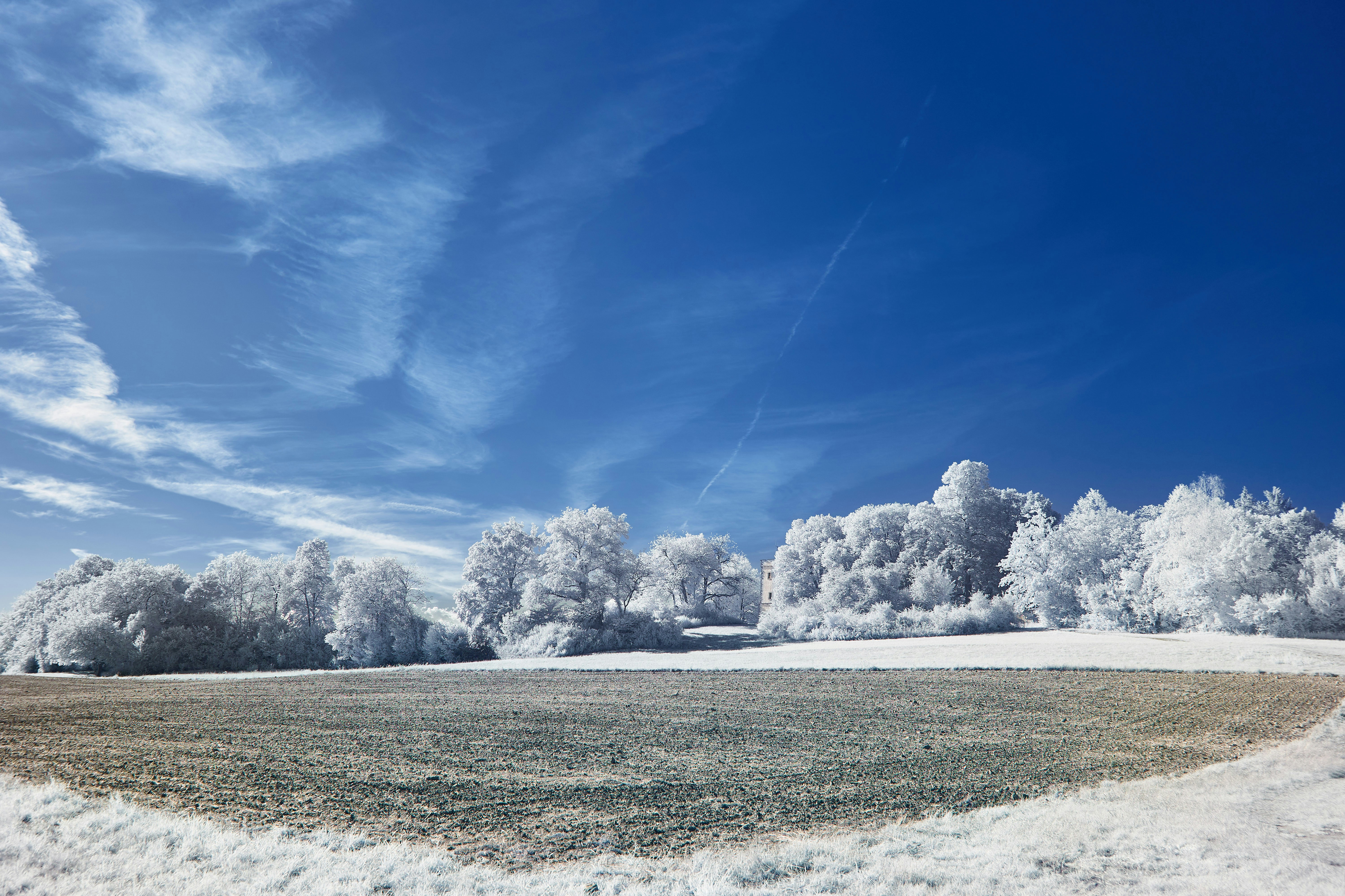 Photo by wolfgang_hasselmann