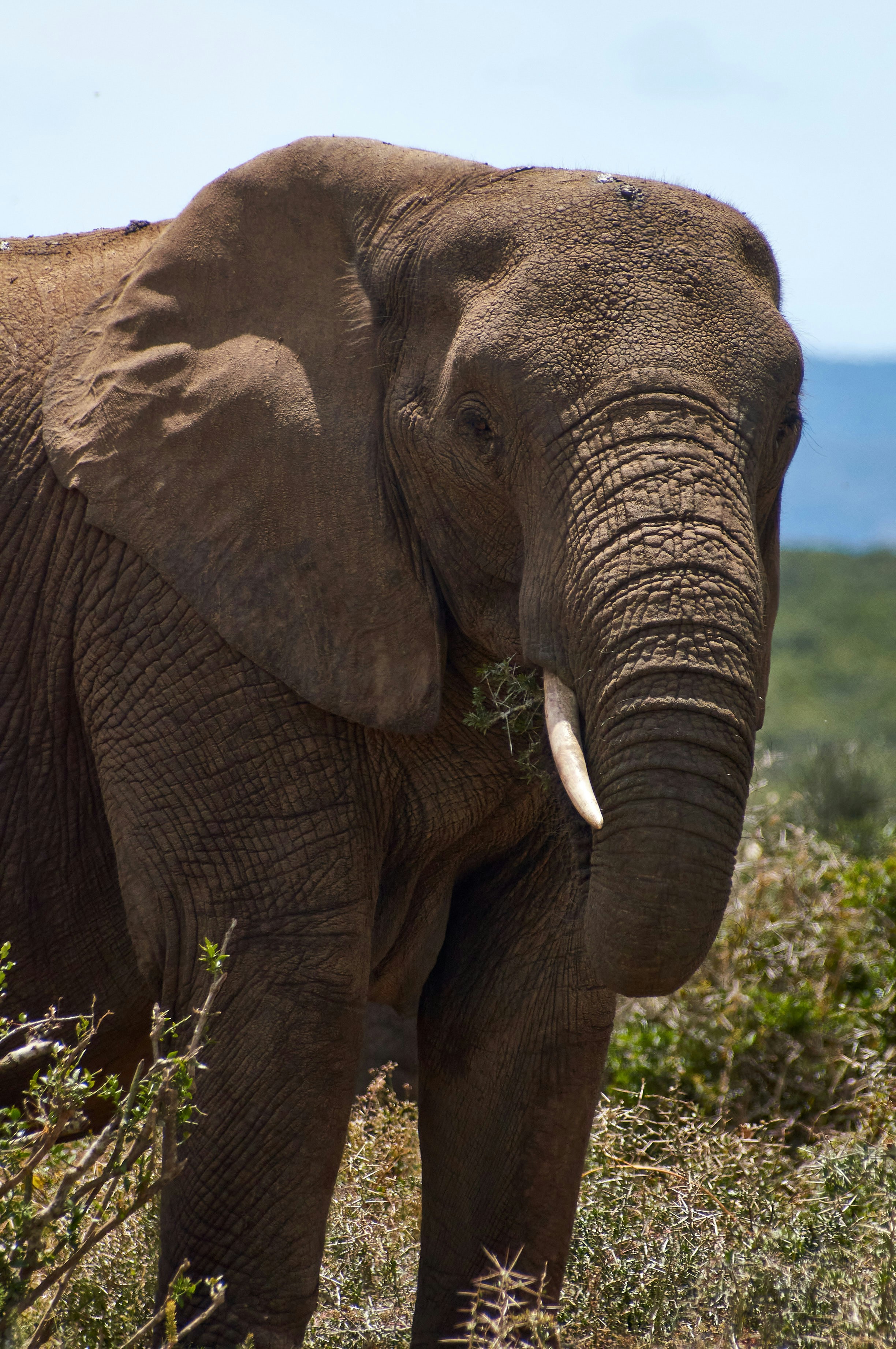 Photo by wolfgang_hasselmann