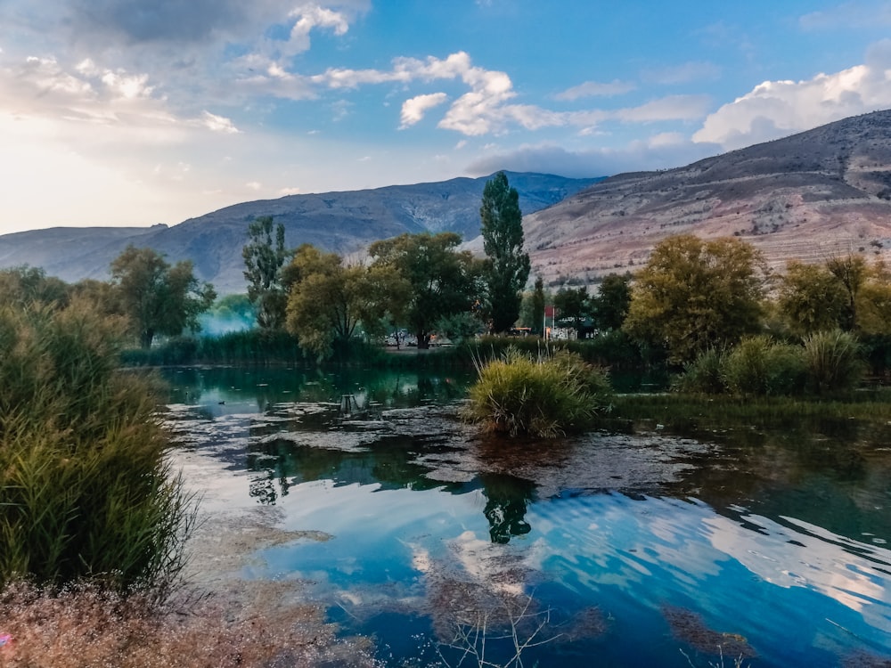 a body of water surrounded by trees and mountains