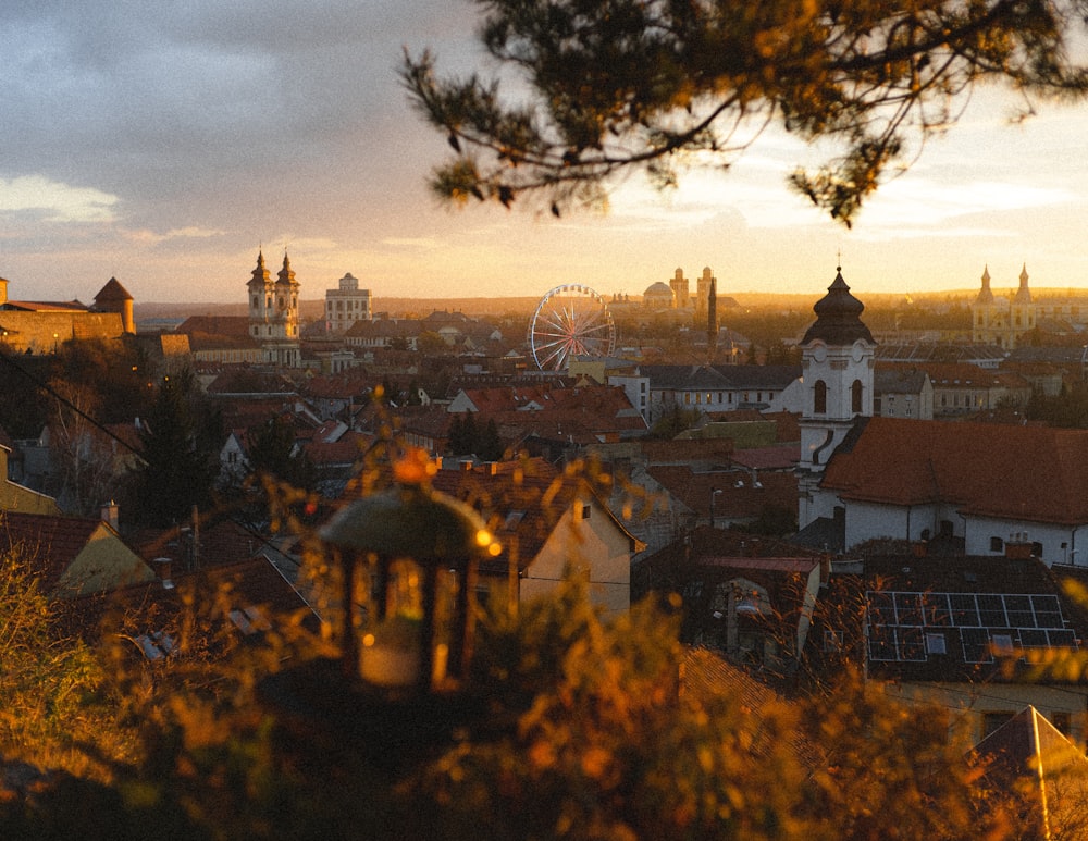 Una vista de una ciudad con una noria en la distancia