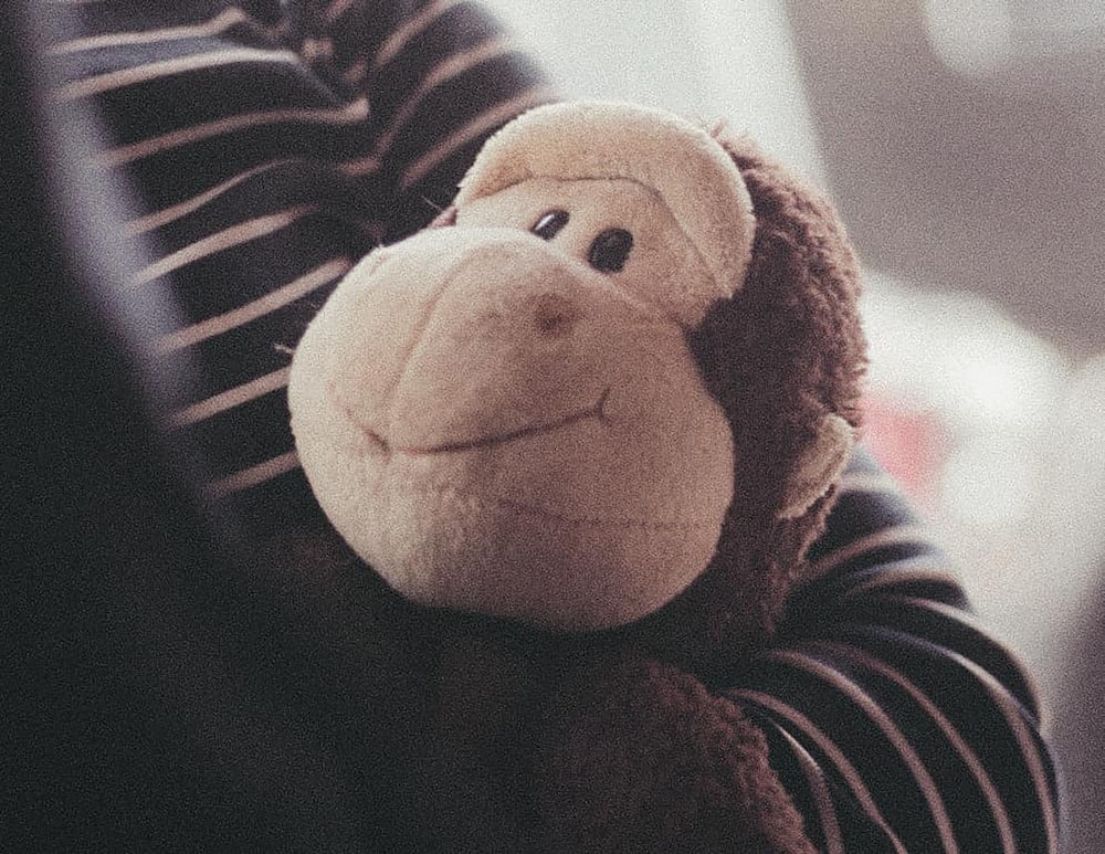 a person holding a stuffed monkey in their arms