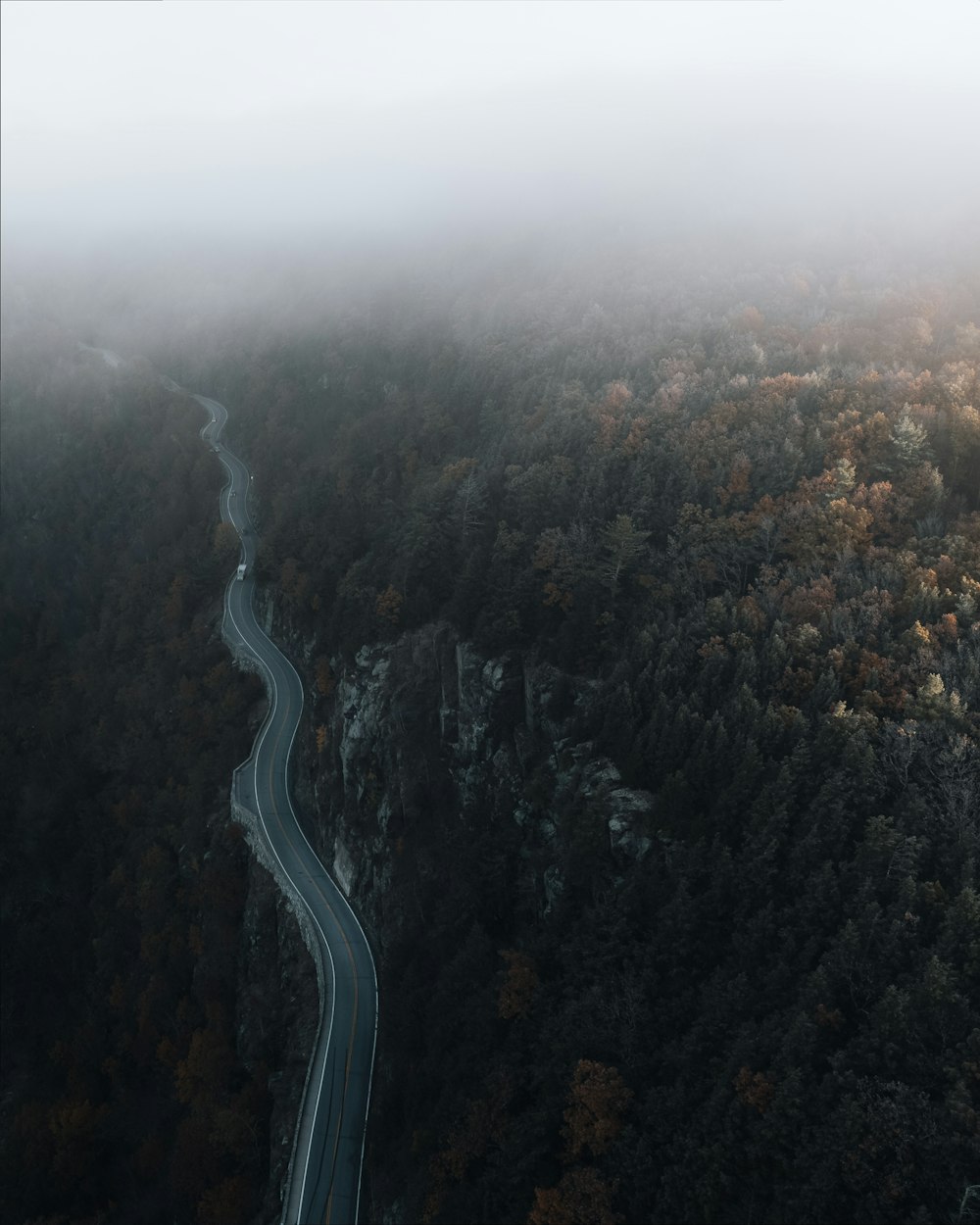 a winding road in the middle of a forest