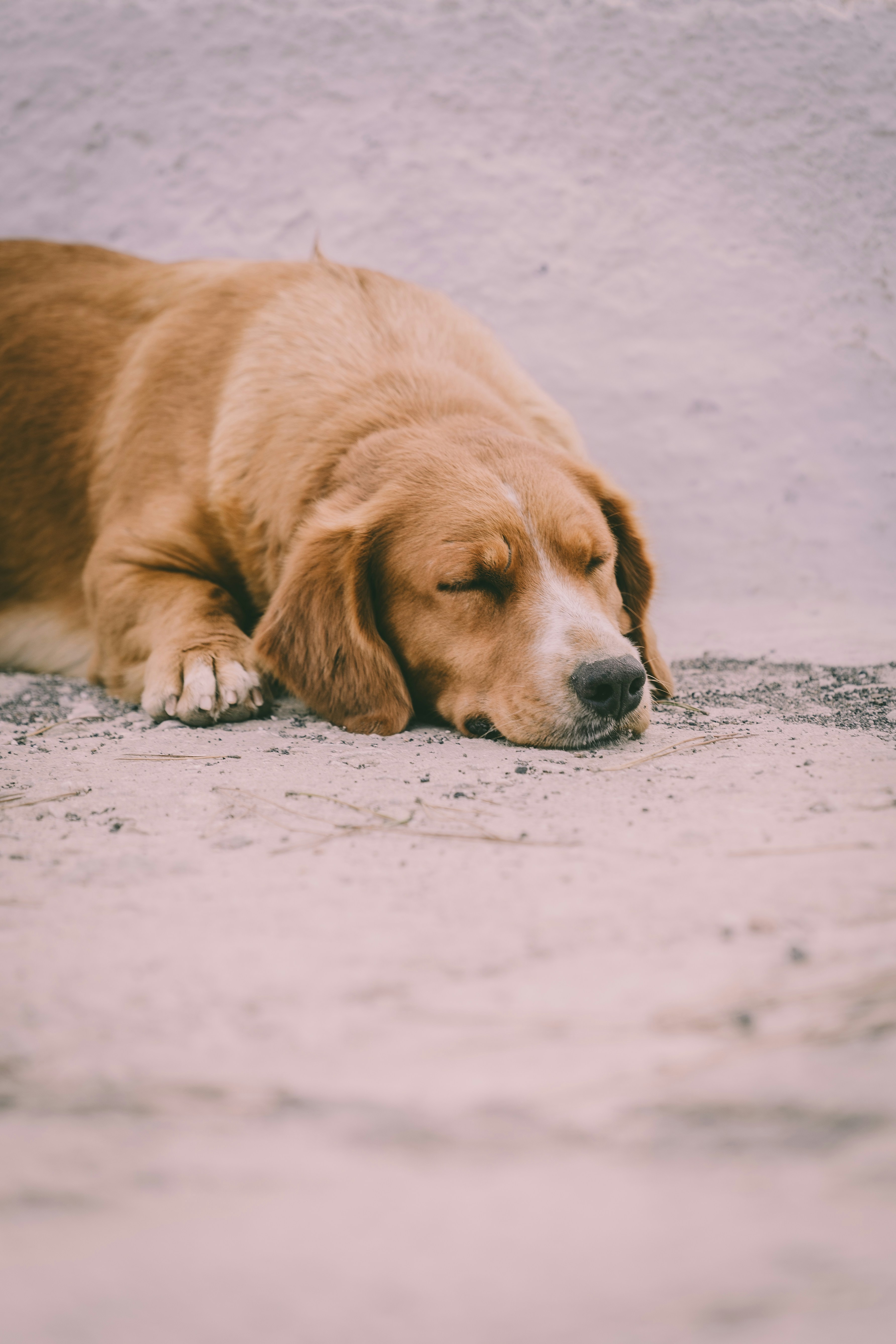 Photo by theverticalstory