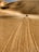 A vast expanse of sand dunes stretches into the distance, with two people riding red all-terrain vehicles along a narrow path. The sand appears smooth with visible tire tracks, suggesting recent activity.