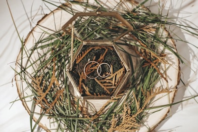 Close-up of wedding rings resting on a rustic wooden table dusted with mountain pine needles.