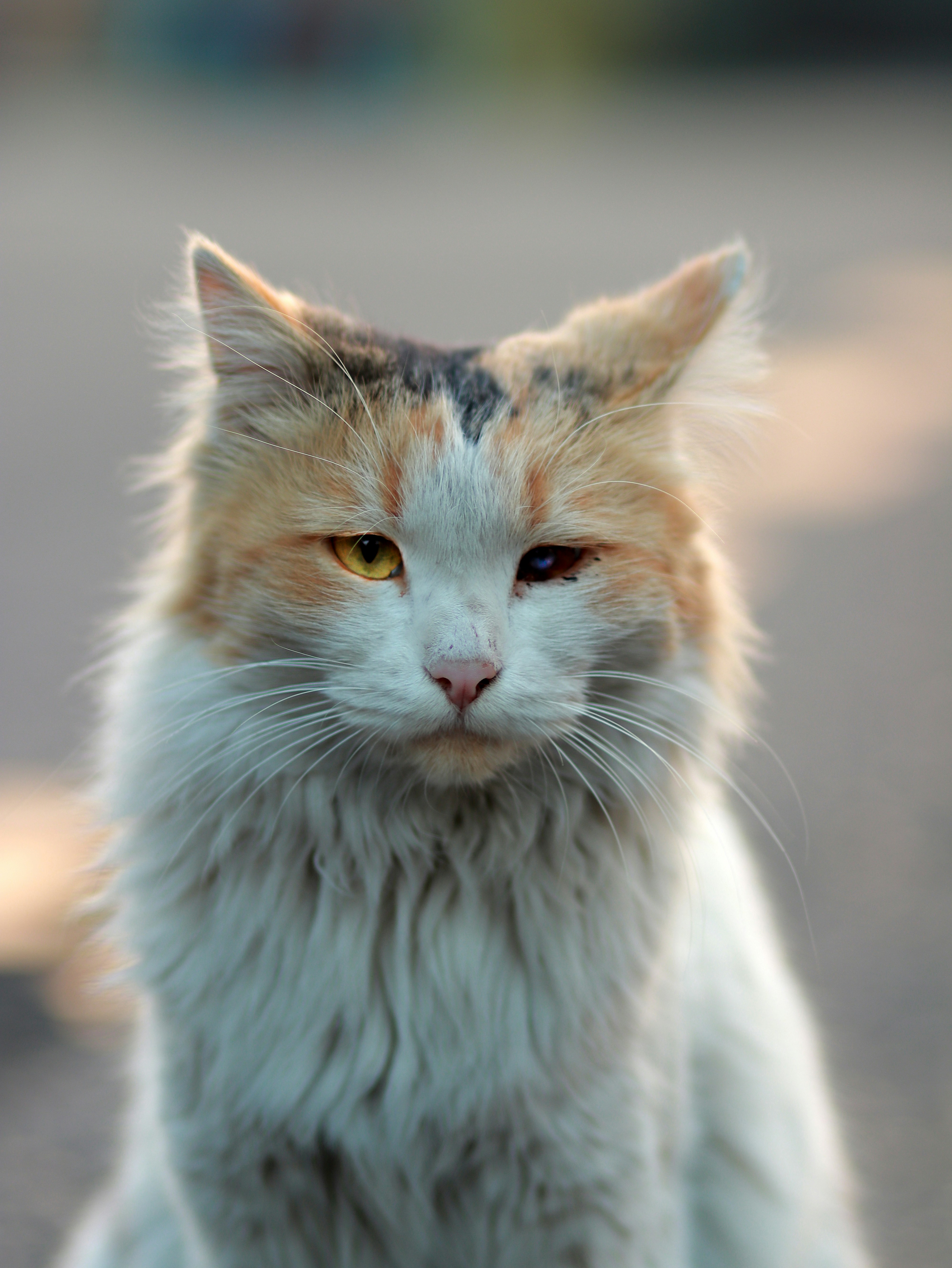 Photo by erfansttrvnd